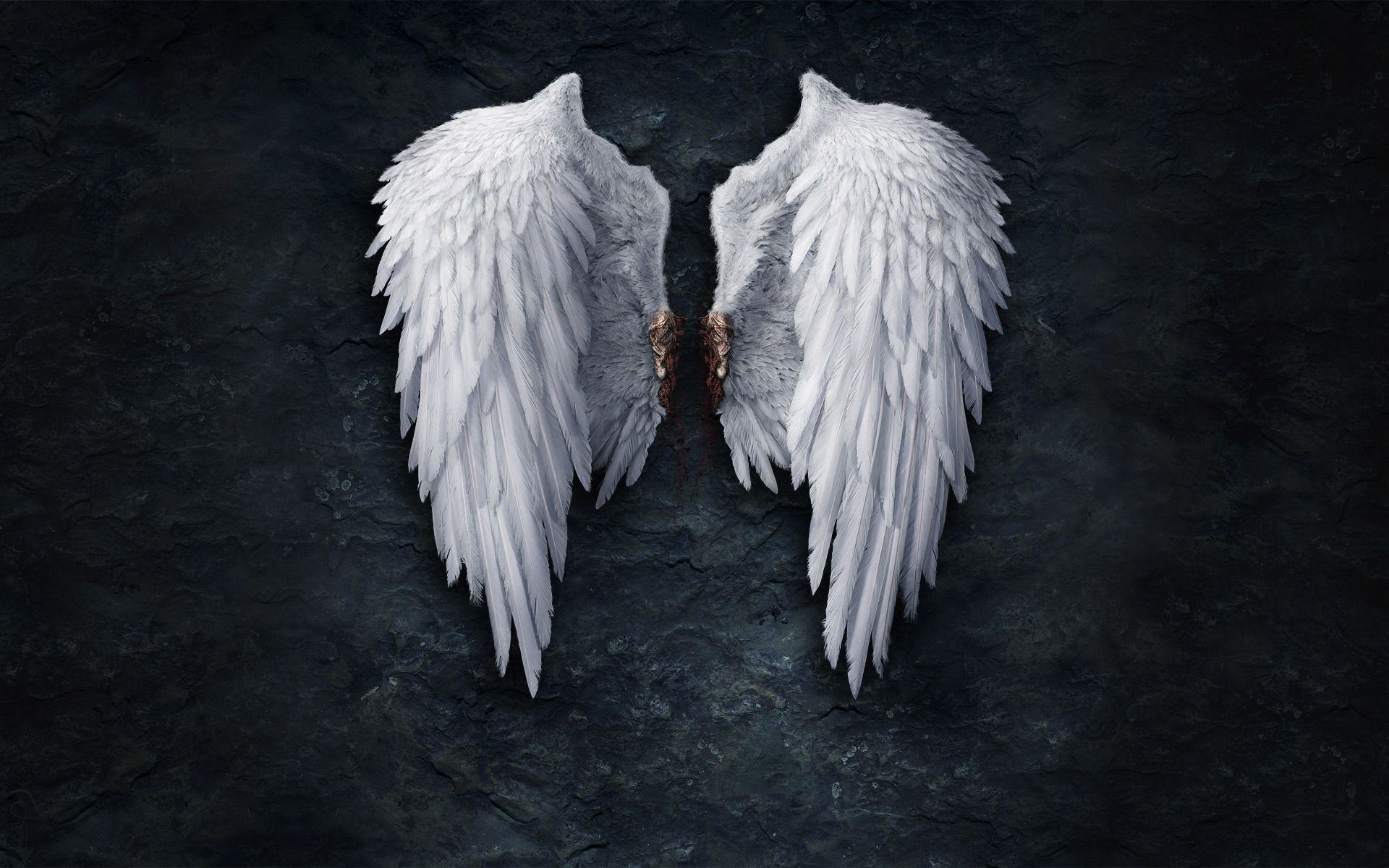 Angel Wings Wallpaper (70+ images)