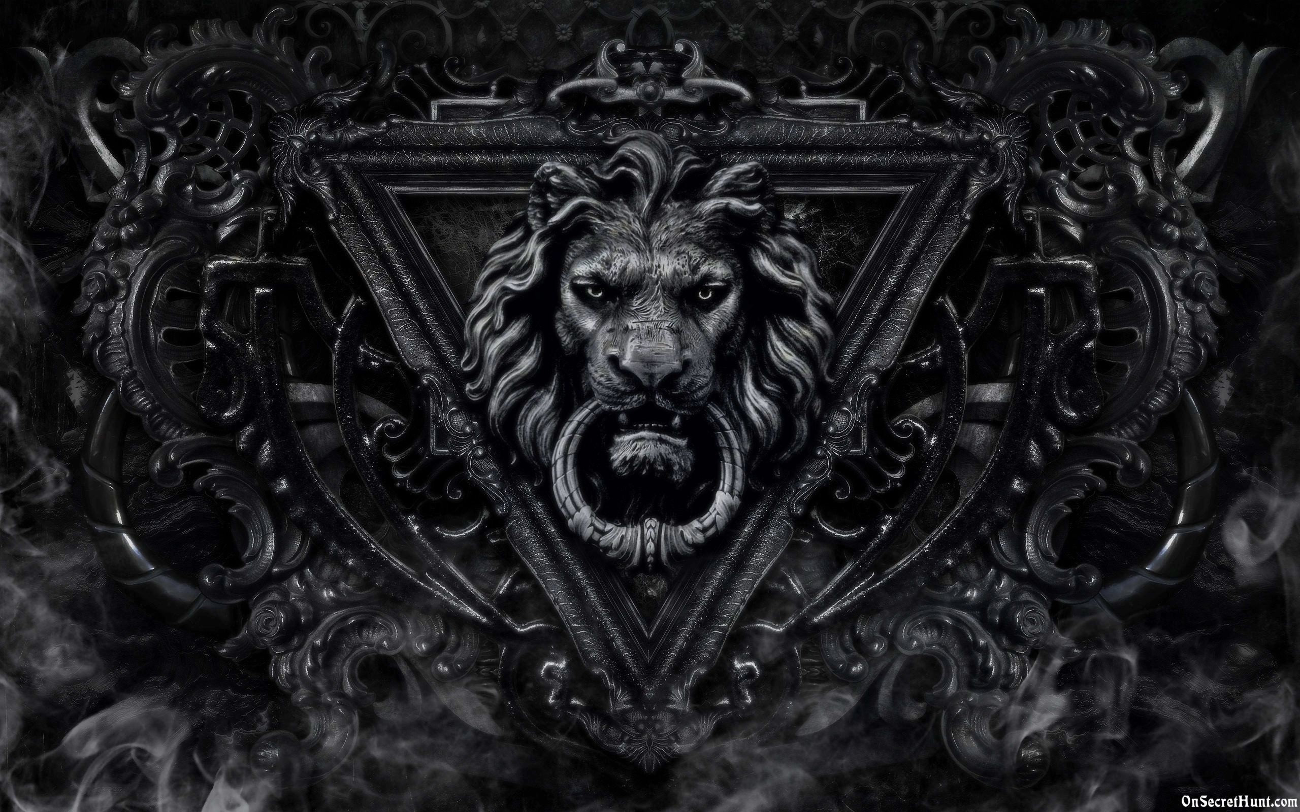 2560x1600 Lion Black and White HD Wallpapers 6447 - Amazing Wallpaperz