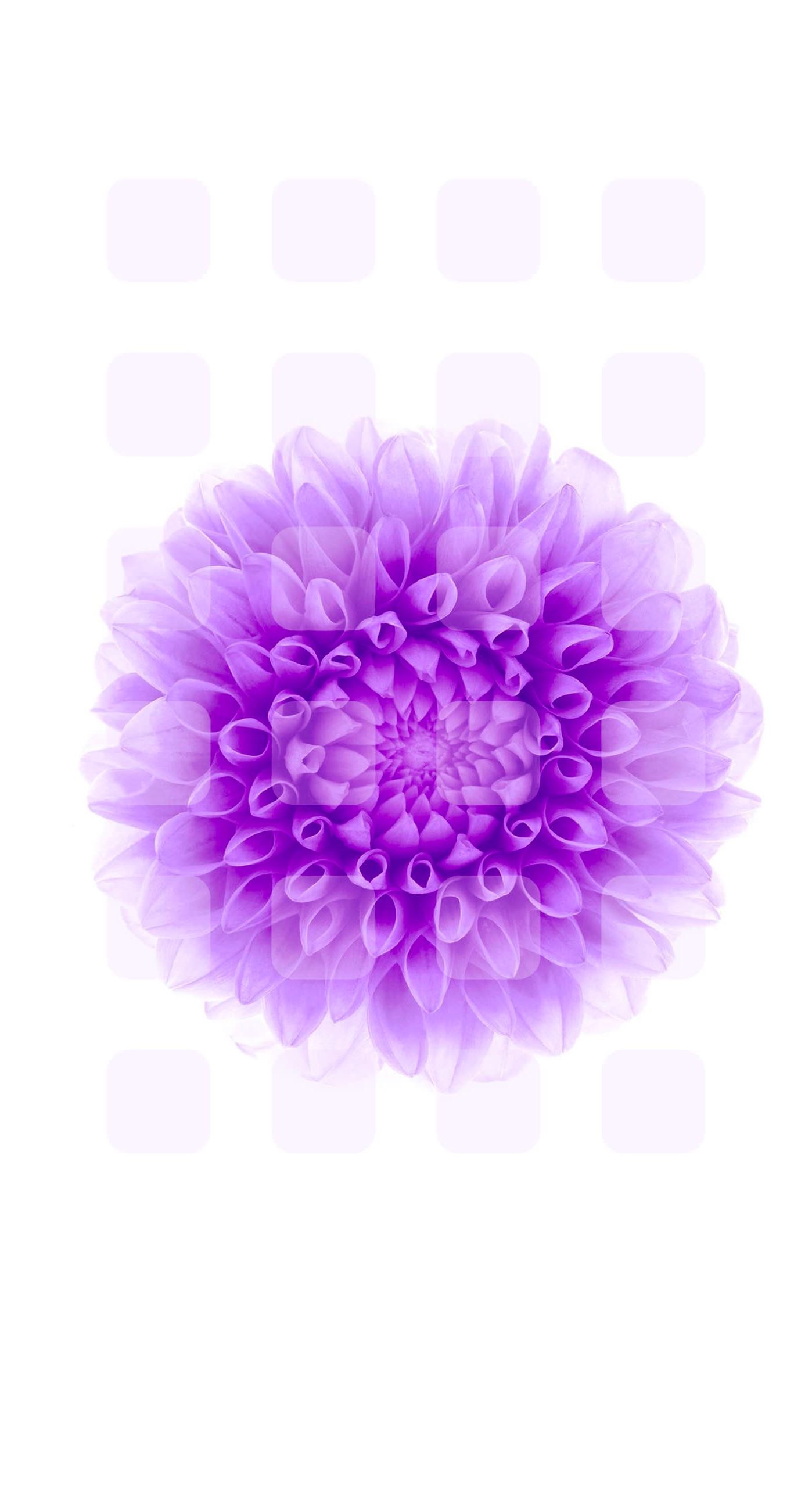 1398x2592 flower purple white shelf | wallpaper.sc iPhone6sPlus