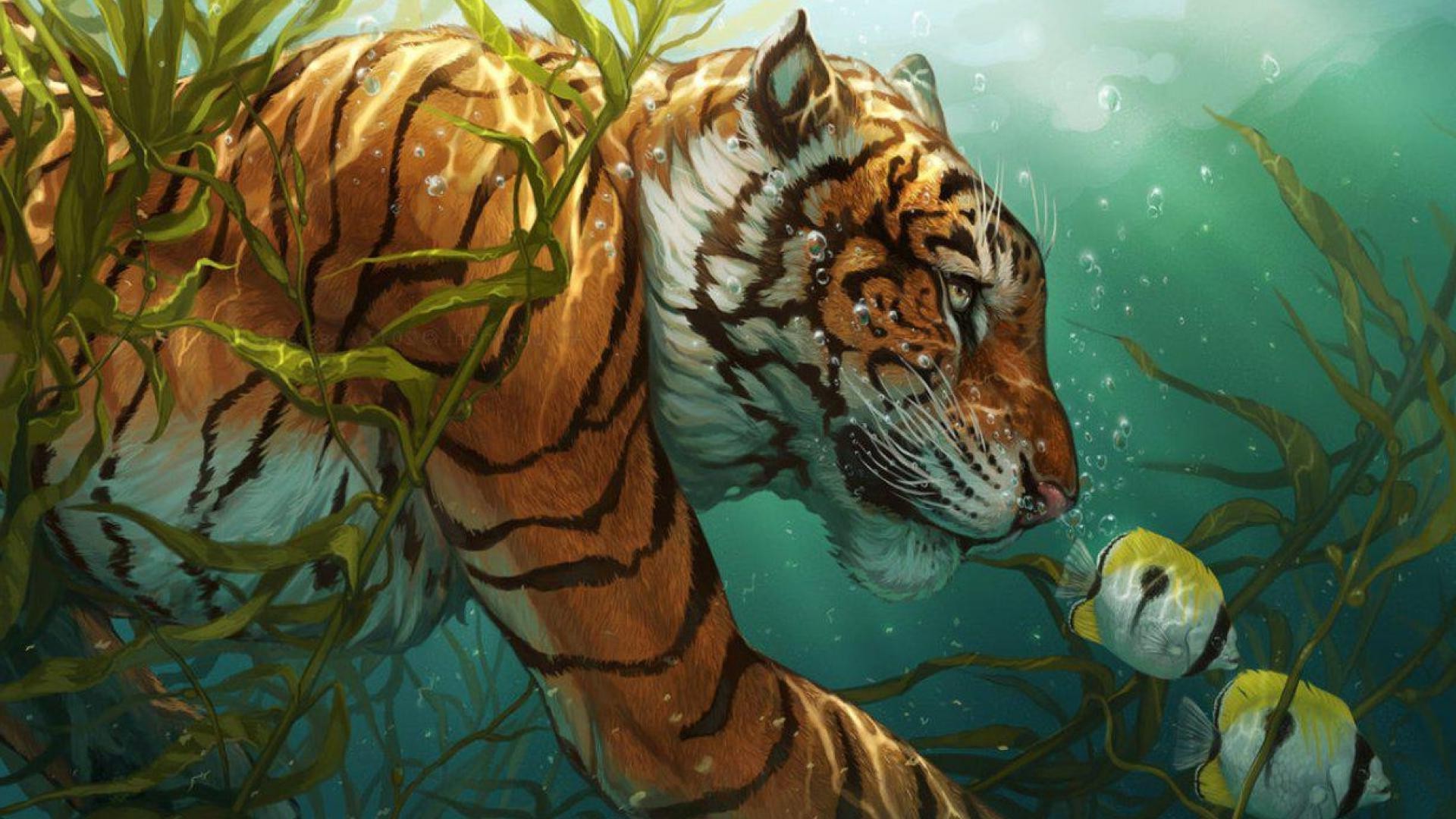 1920x1080 animals, Artwork, Tiger, Fish, Bubbles, Underwater Wallpapers HD / Desktop  and Mobile Backgrounds