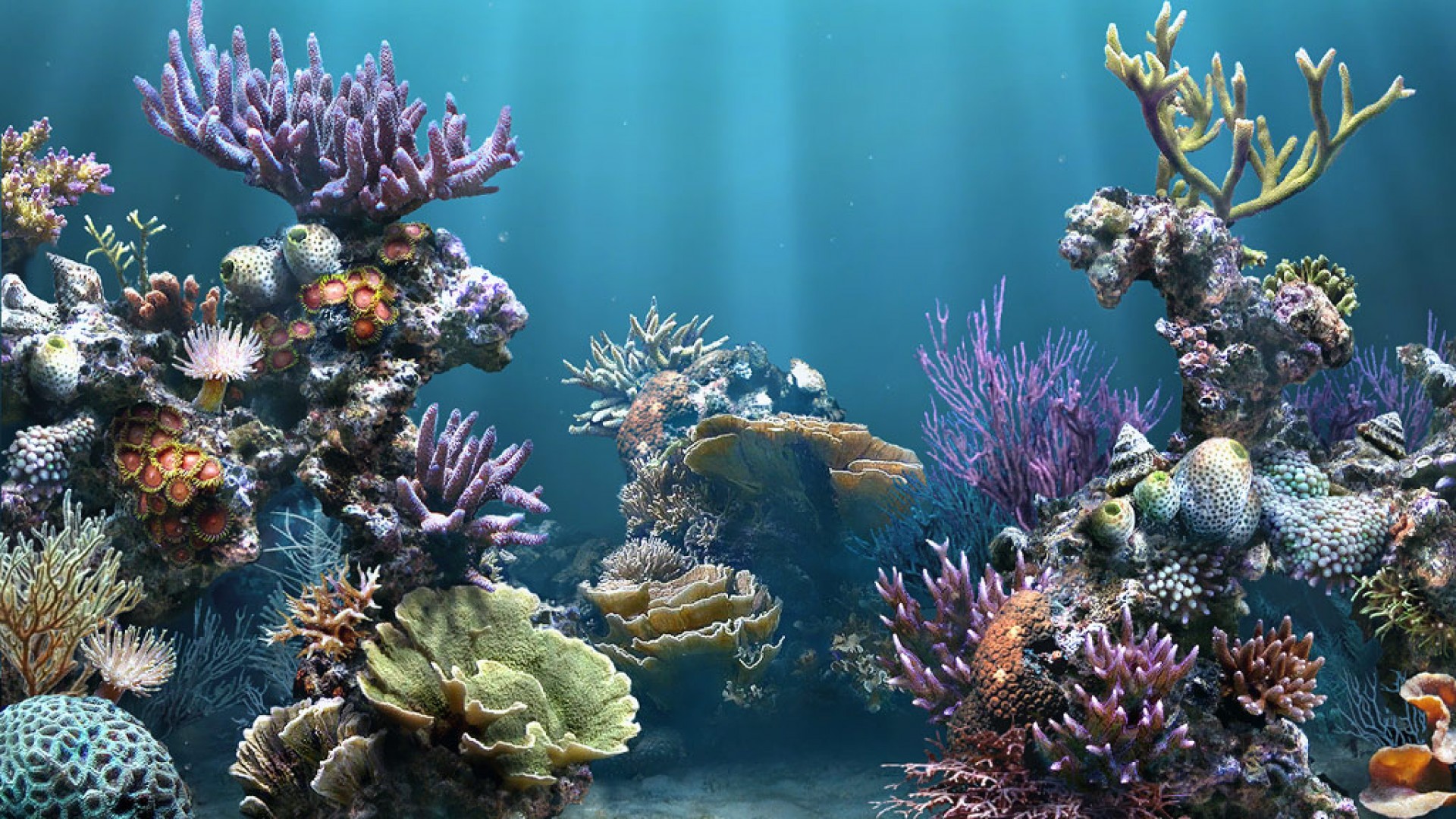 live wallpaper aquarium for pc