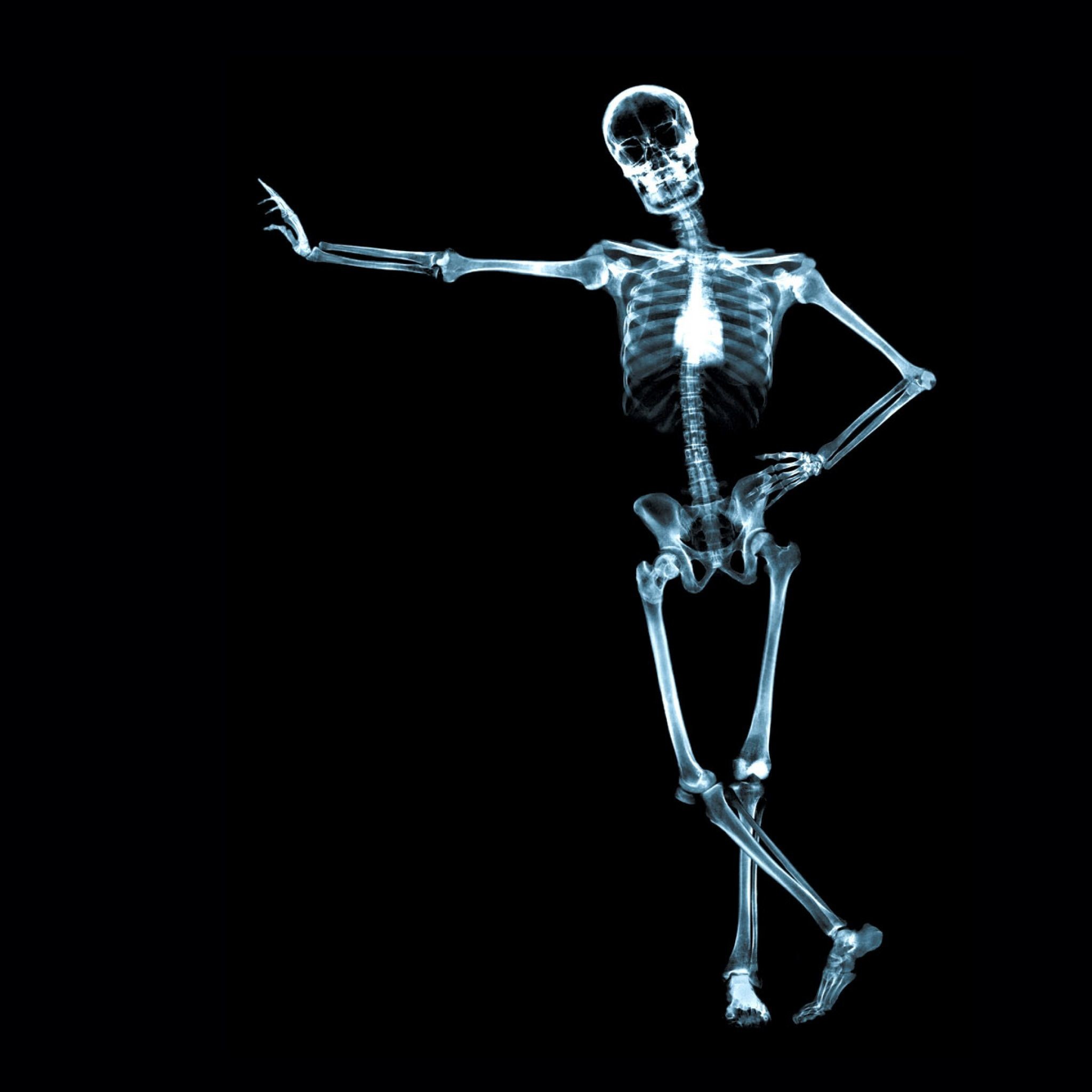 2048x2048 X Ray Skeleton iPad Air wallpaper