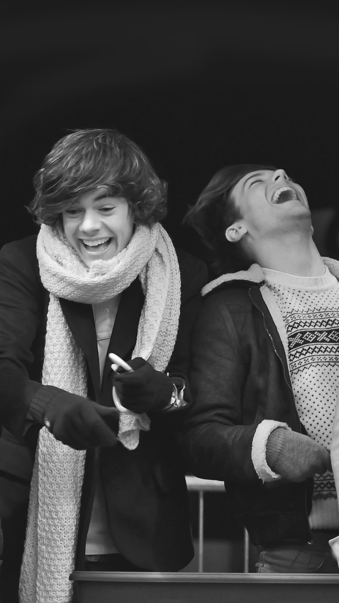 1080x1920 Harry&Louis in the Winter Wonderland mobile phone .