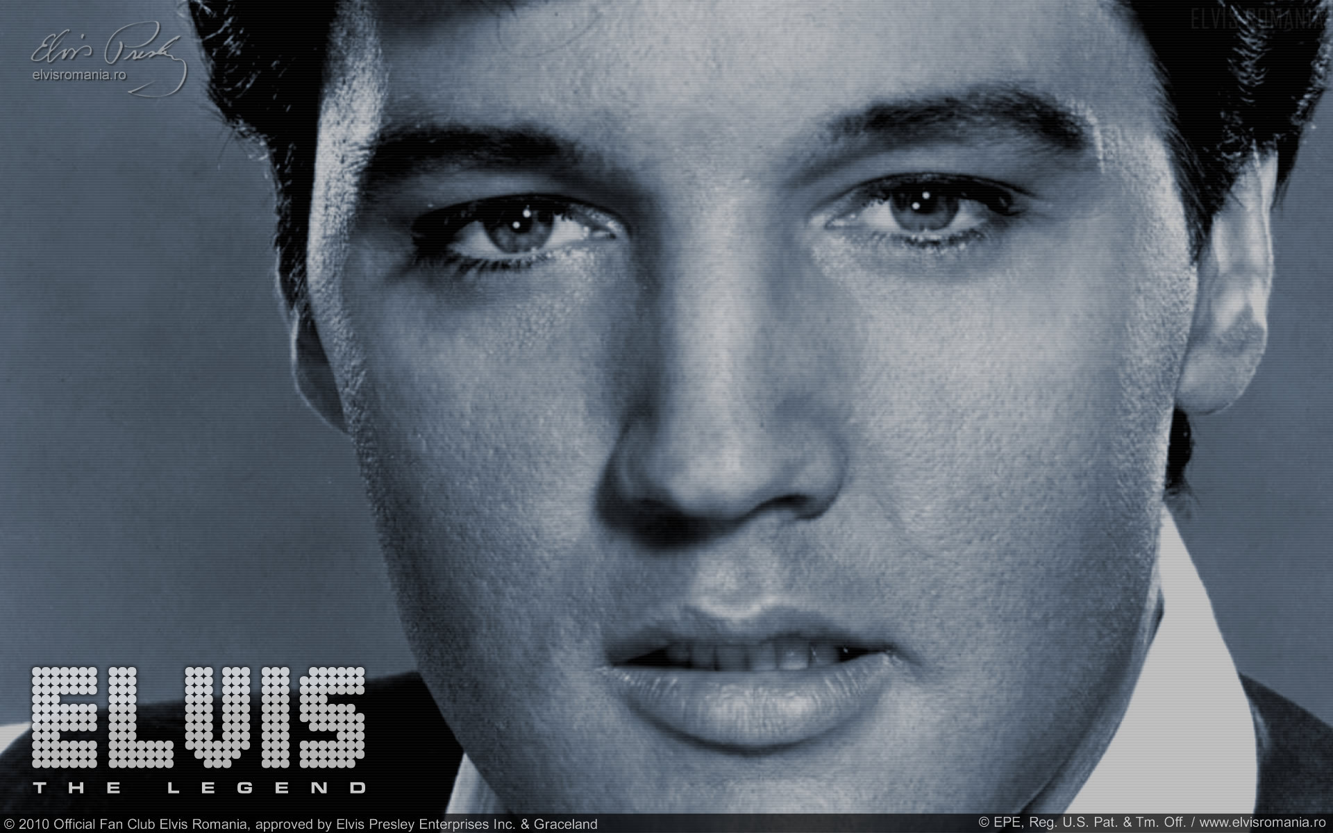 Elvis with an electric hollow elvis presley iphone HD phone wallpaper   Pxfuel