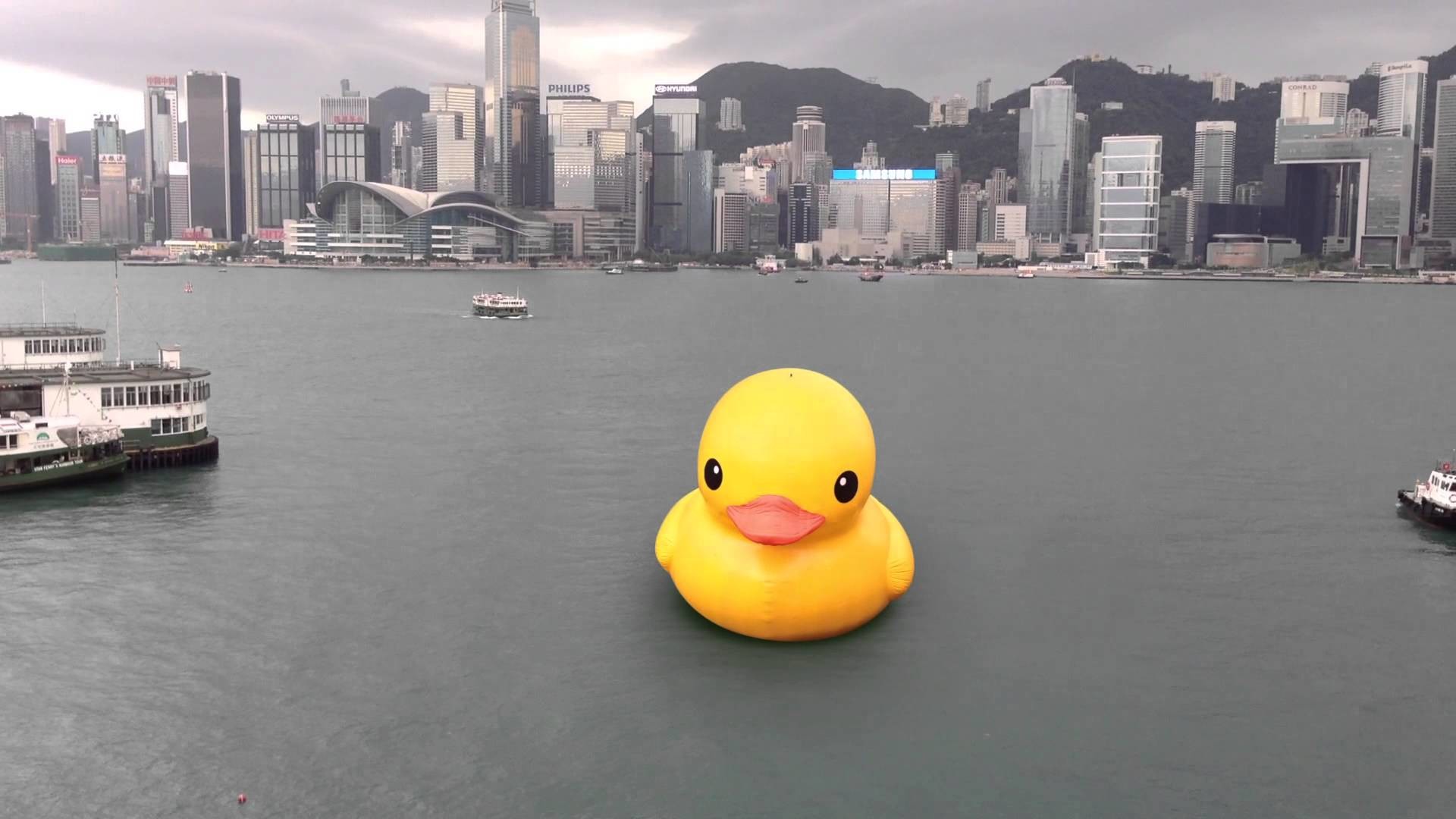 1920x1080 Fcuk Up the Giant Duck @ Hong Kong