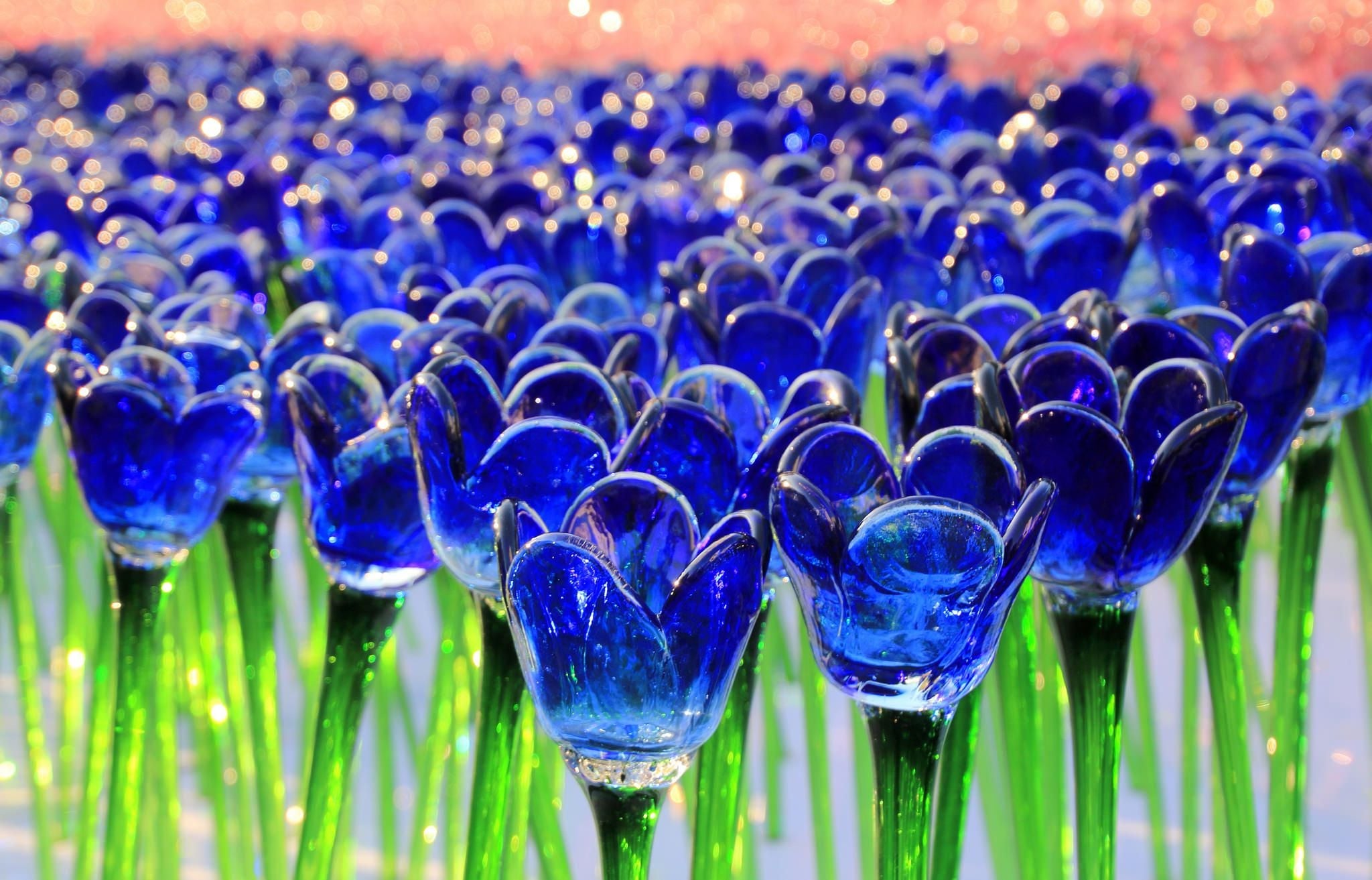 2048x1313 blue glass Tulips HD wallpapers