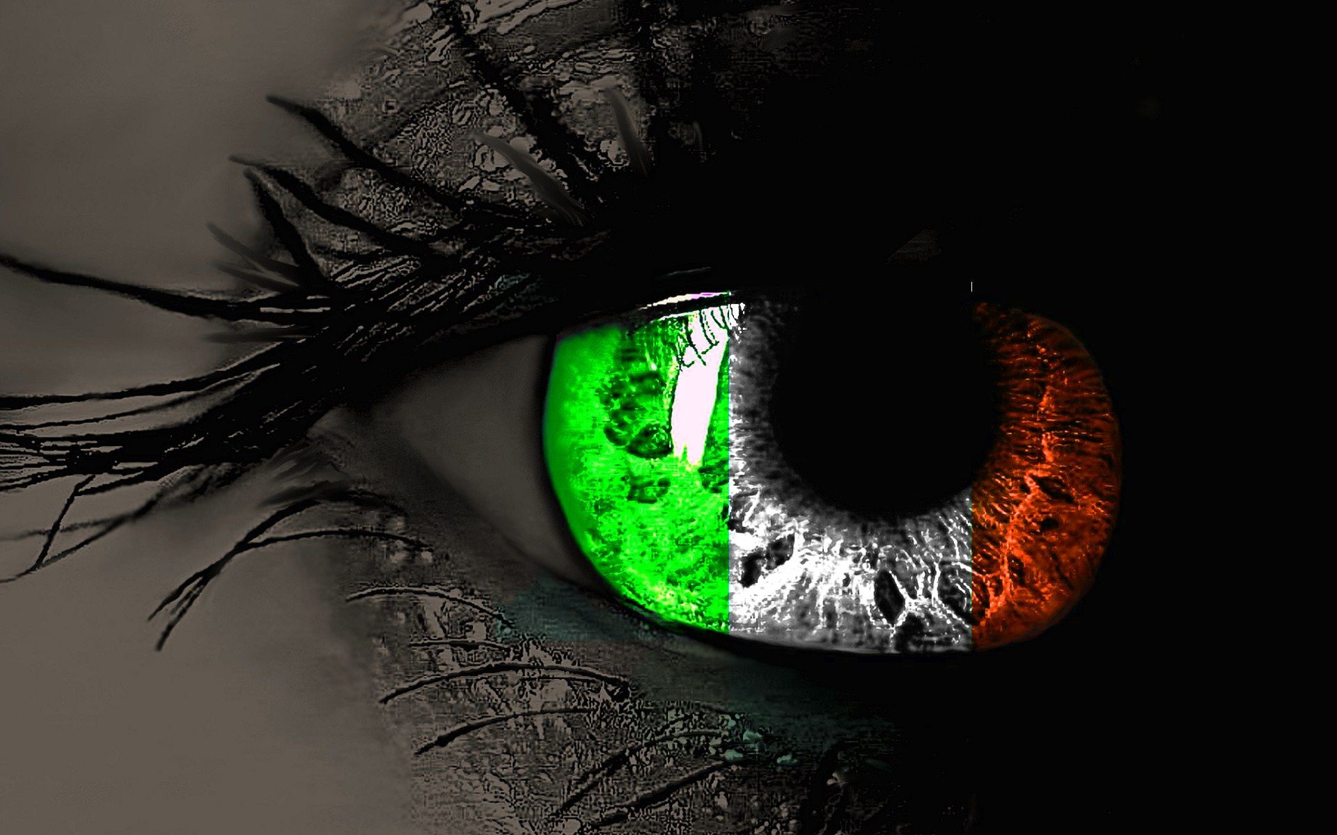 1920x1200 irish images | Irish flag in the eye | Flag Wallpapers | HD Wallpapers For  Free .