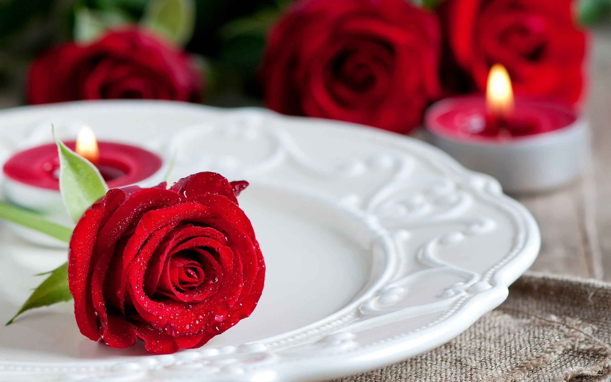 2560x1600 ... red-rose-on-a-plate-flower-hd-wallpaper- ...