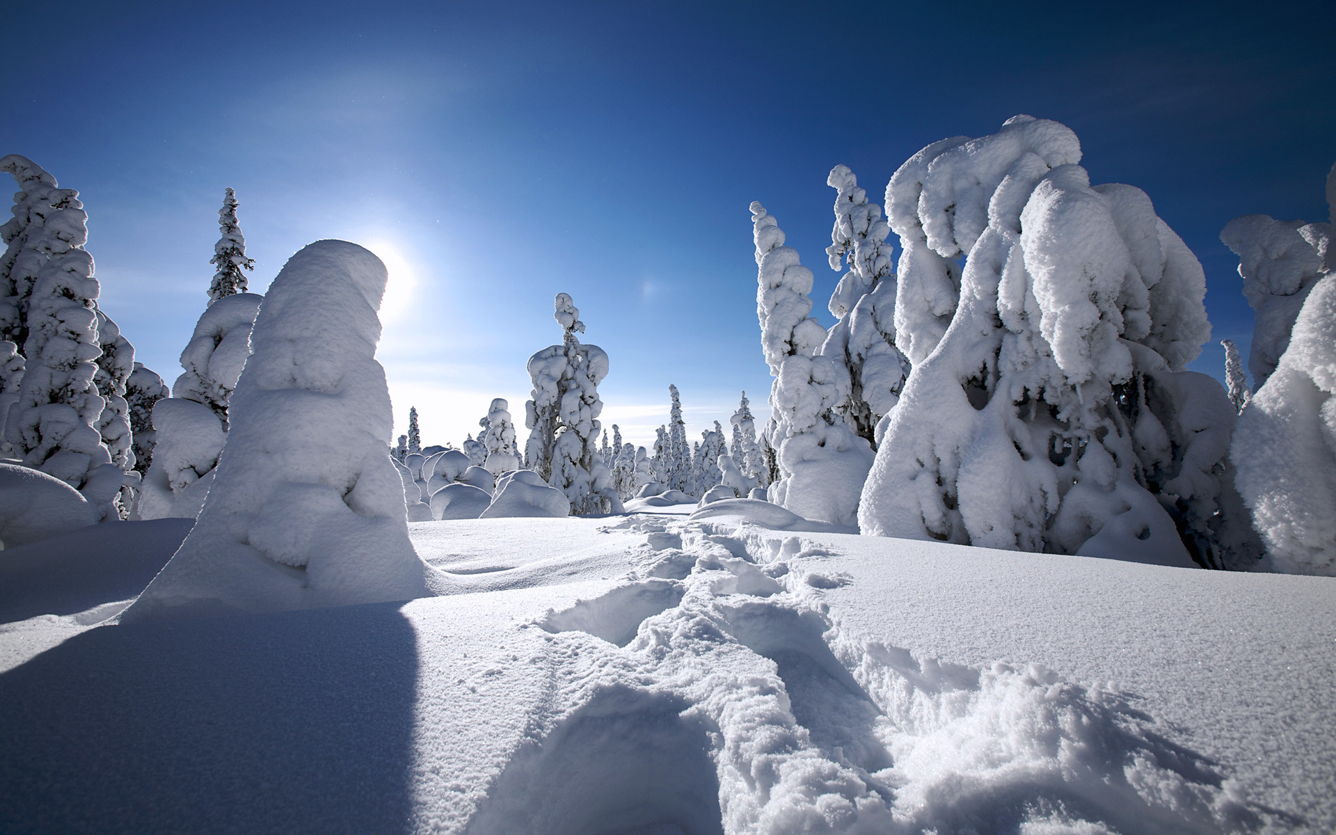 1920x1200 Winter in Finland