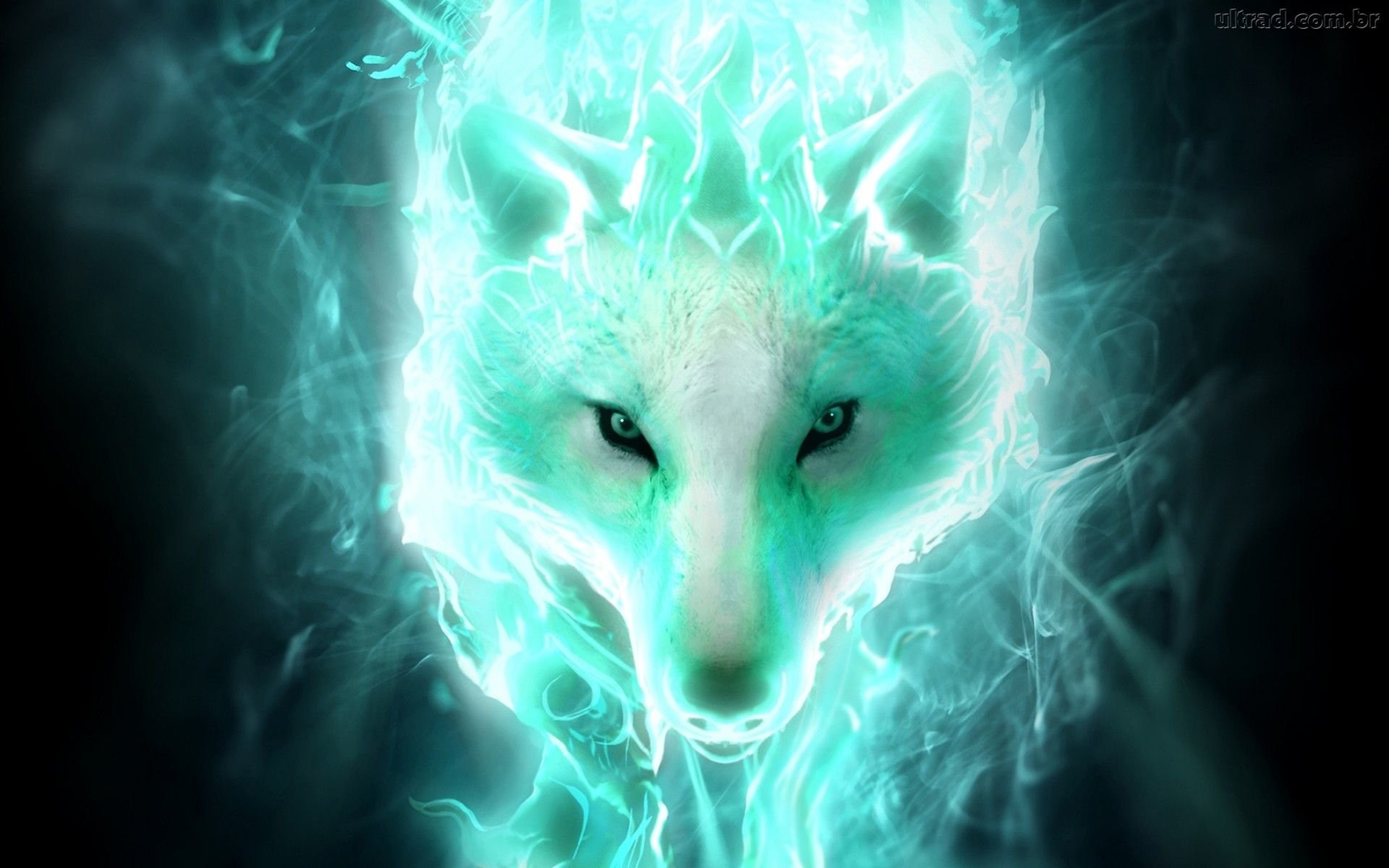 1920x1200 HD Wallpaper | Background Image ID:553440.  Fantasy Wolf