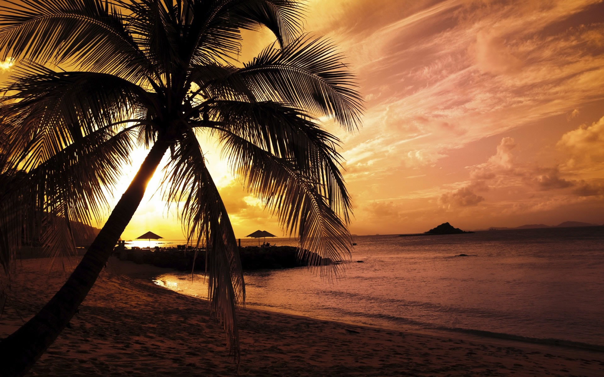 1920x1200 Summer beach, nature hd wallpapers for YOU from -> www.
