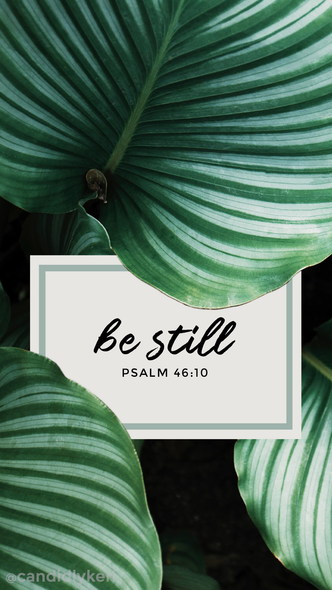 1080x1920 Be Still Psalm 46:10 bible quote leaf palms inspirational calming quote  2017 wallpaper you
