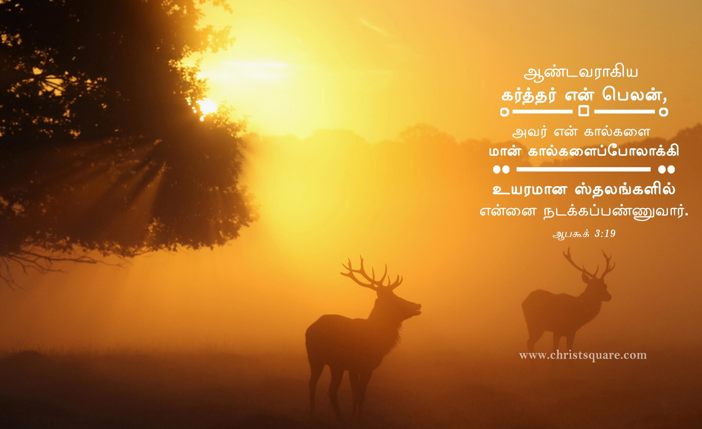 2760x1686  Jesus Christ Wallpaper With Bible Verse In Tamil - Ma-aM