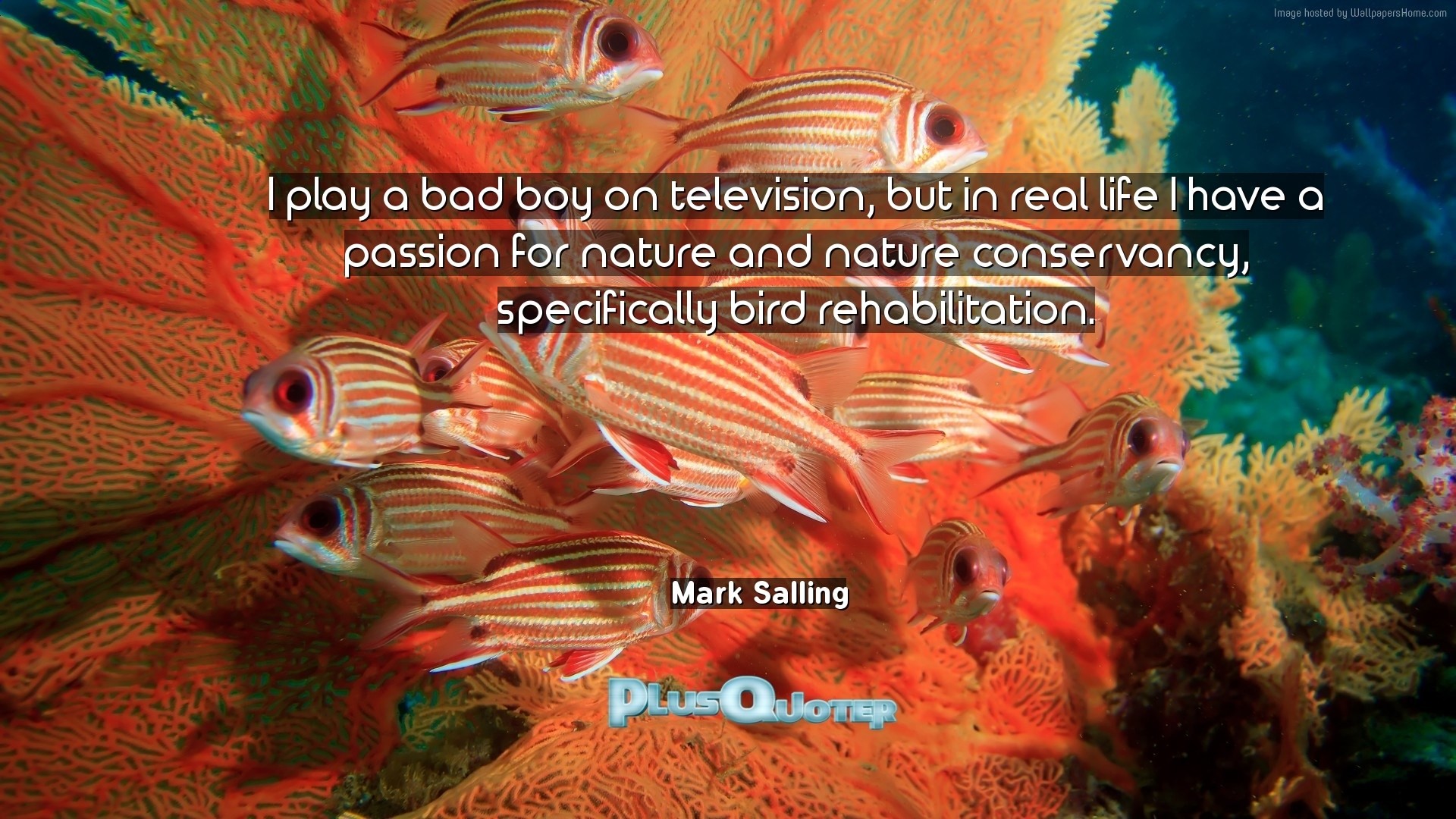 1920x1080 Download Wallpaper with inspirational Quotes- "I play a bad boy on  television, but
