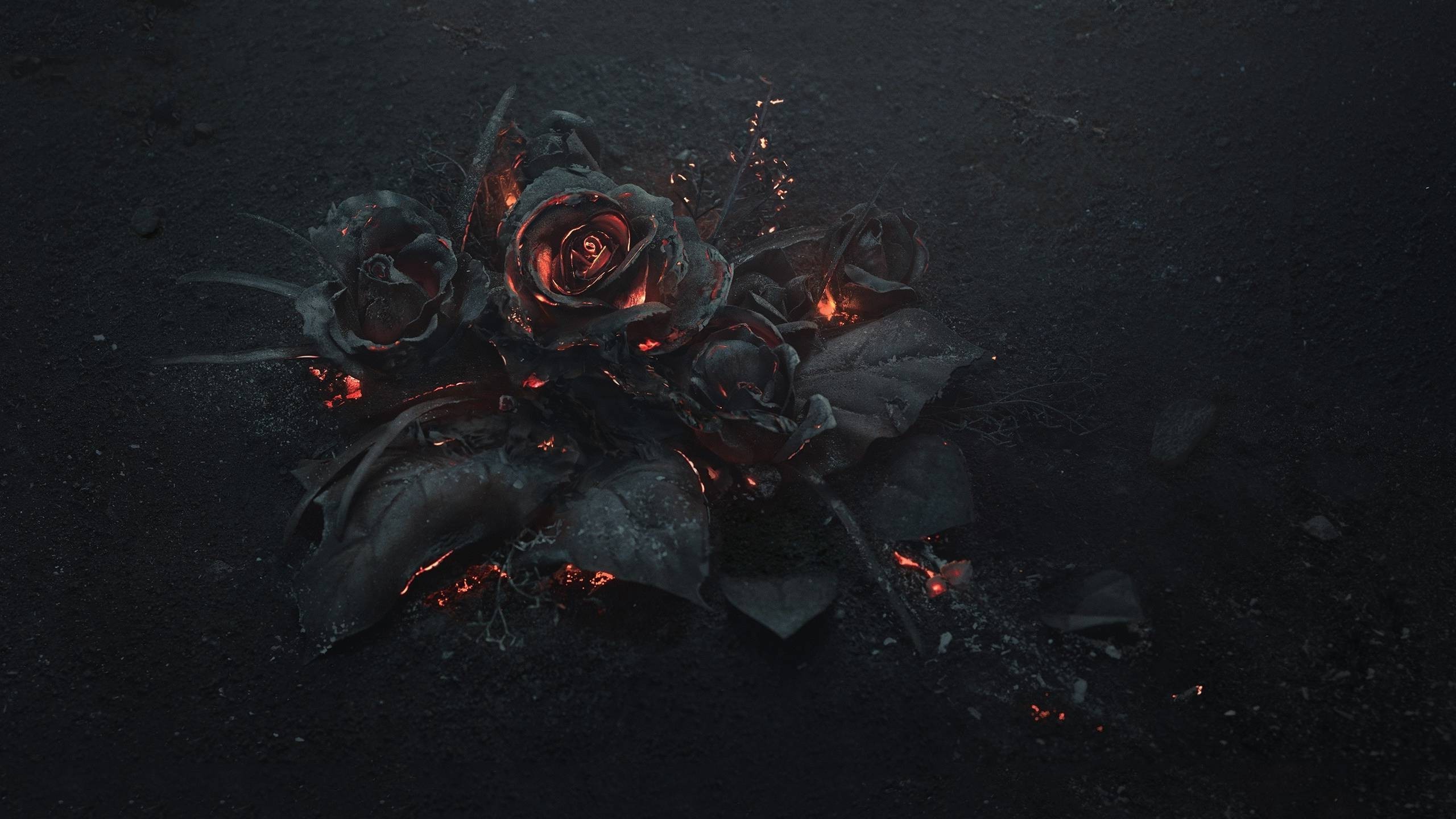 2560x1440 flowers, Rose, Fire, Gothic Wallpapers HD / Desktop and Mobile Backgrounds