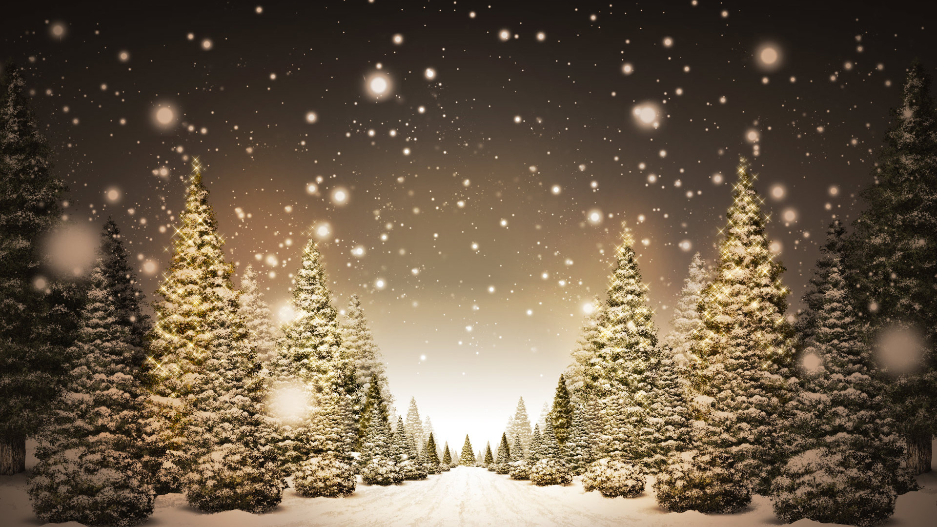 1920x1080 Christmas Trees in Snow HD Wallpaper. Â« Â»