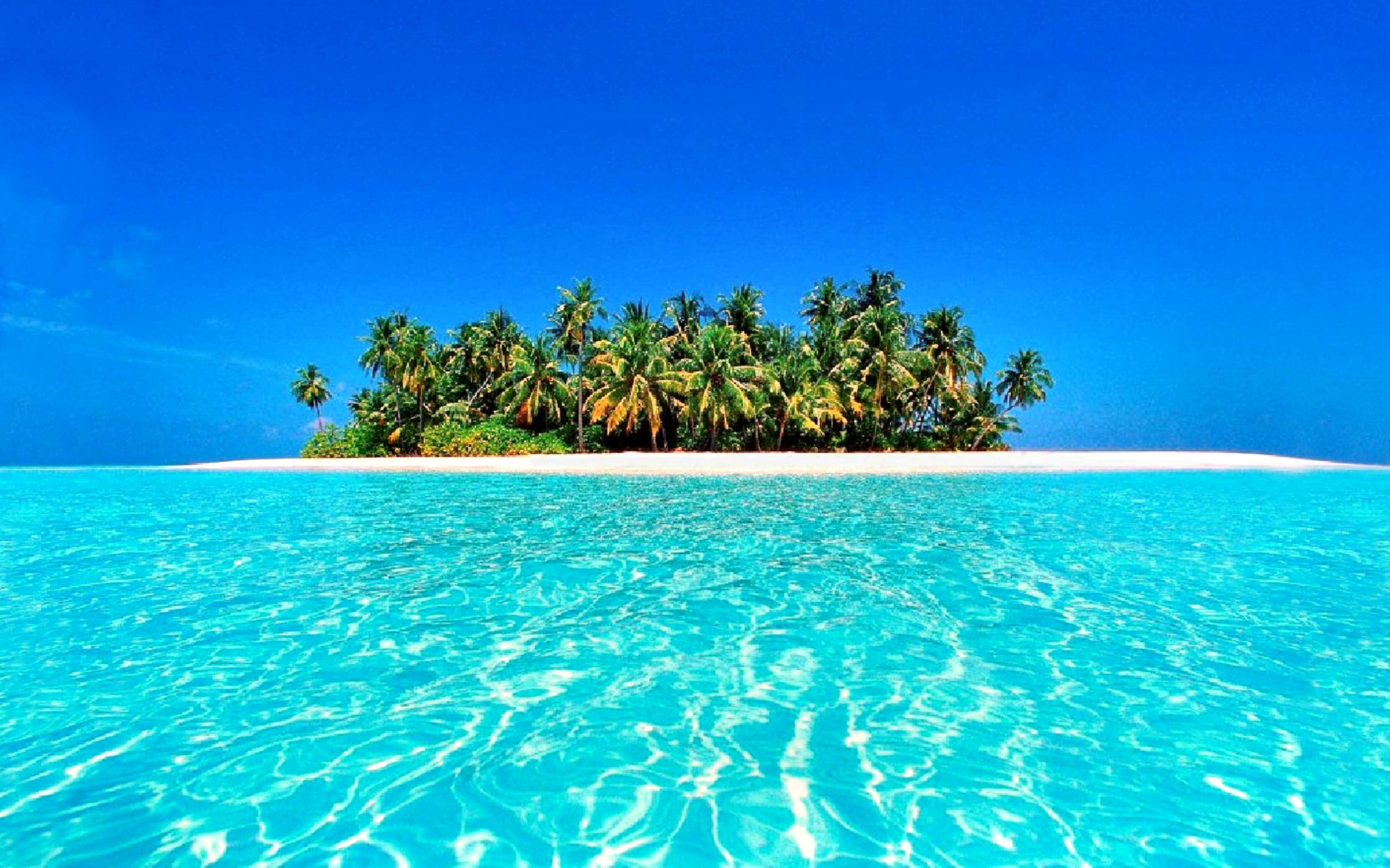 3325x2077 Earth - Tropical Summer Horizon Azure Turquoise Palm Tree Island Beach  Sunny Maldives Wallpaper