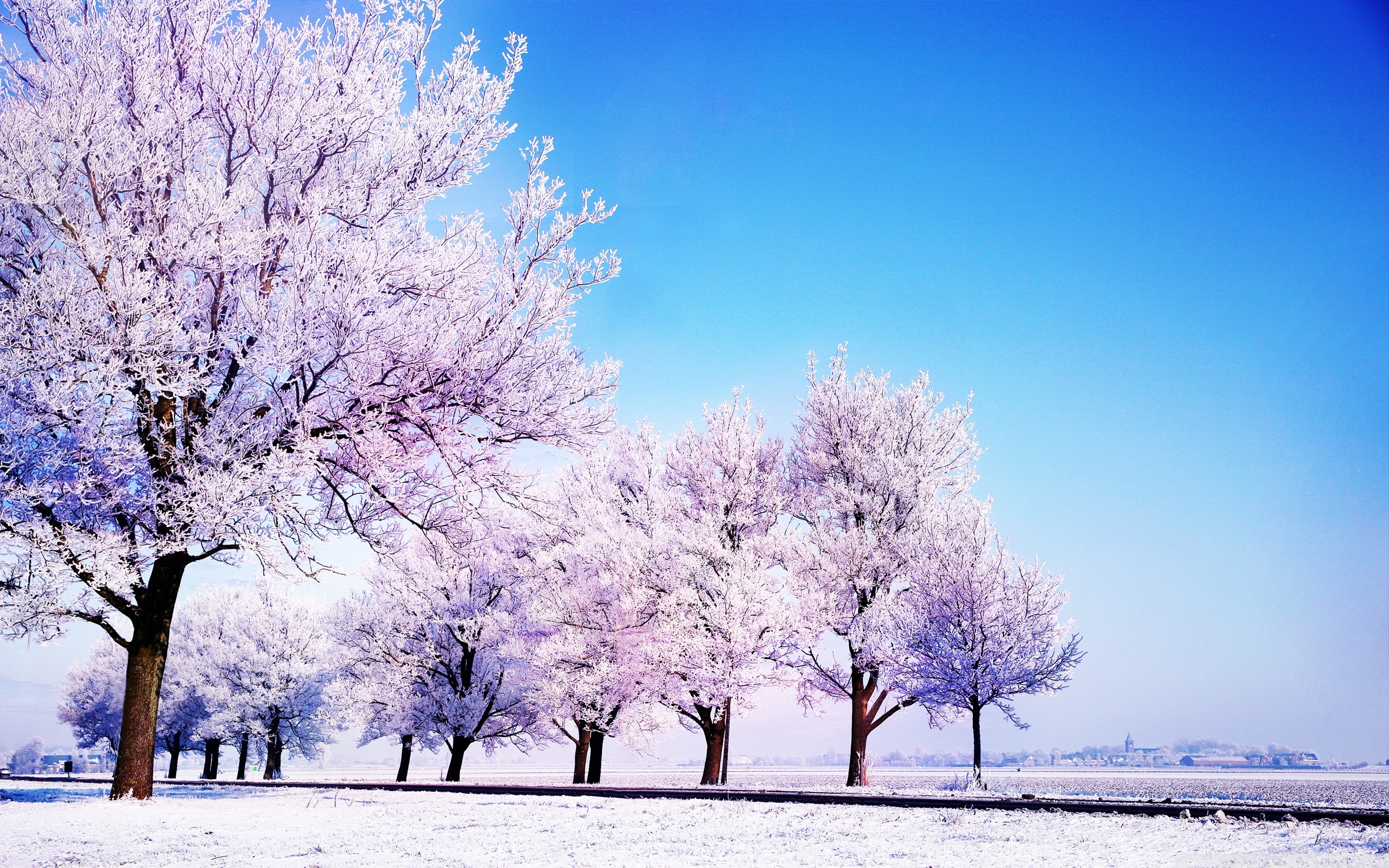 2560x1600 Winter Backgrounds