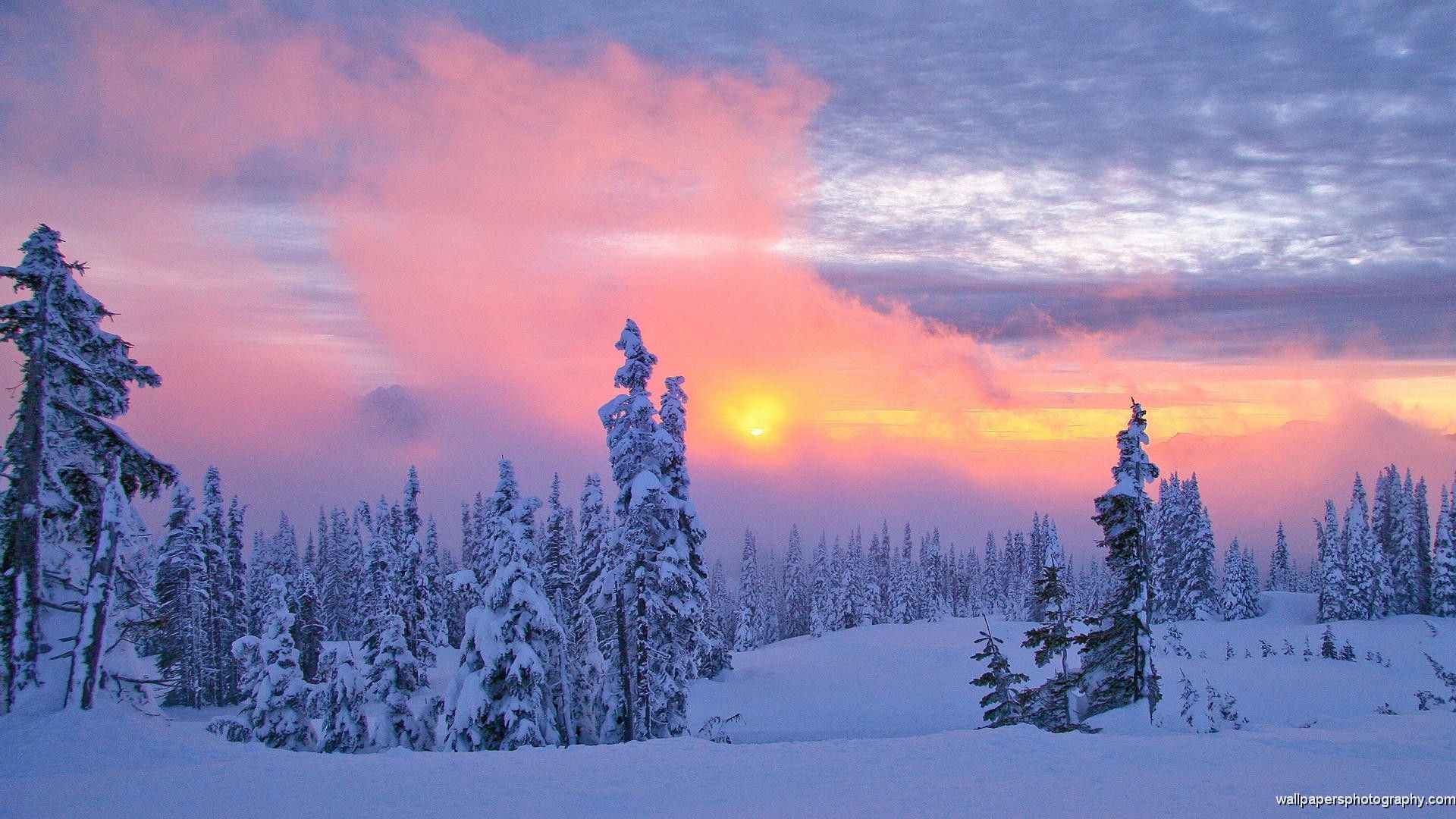 1920x1080 Beautiful Finland Winter, Finnish Winter Landscape in K (ultra HD Beautiful Winter  Scenery Wallpapers Wallpapers)
