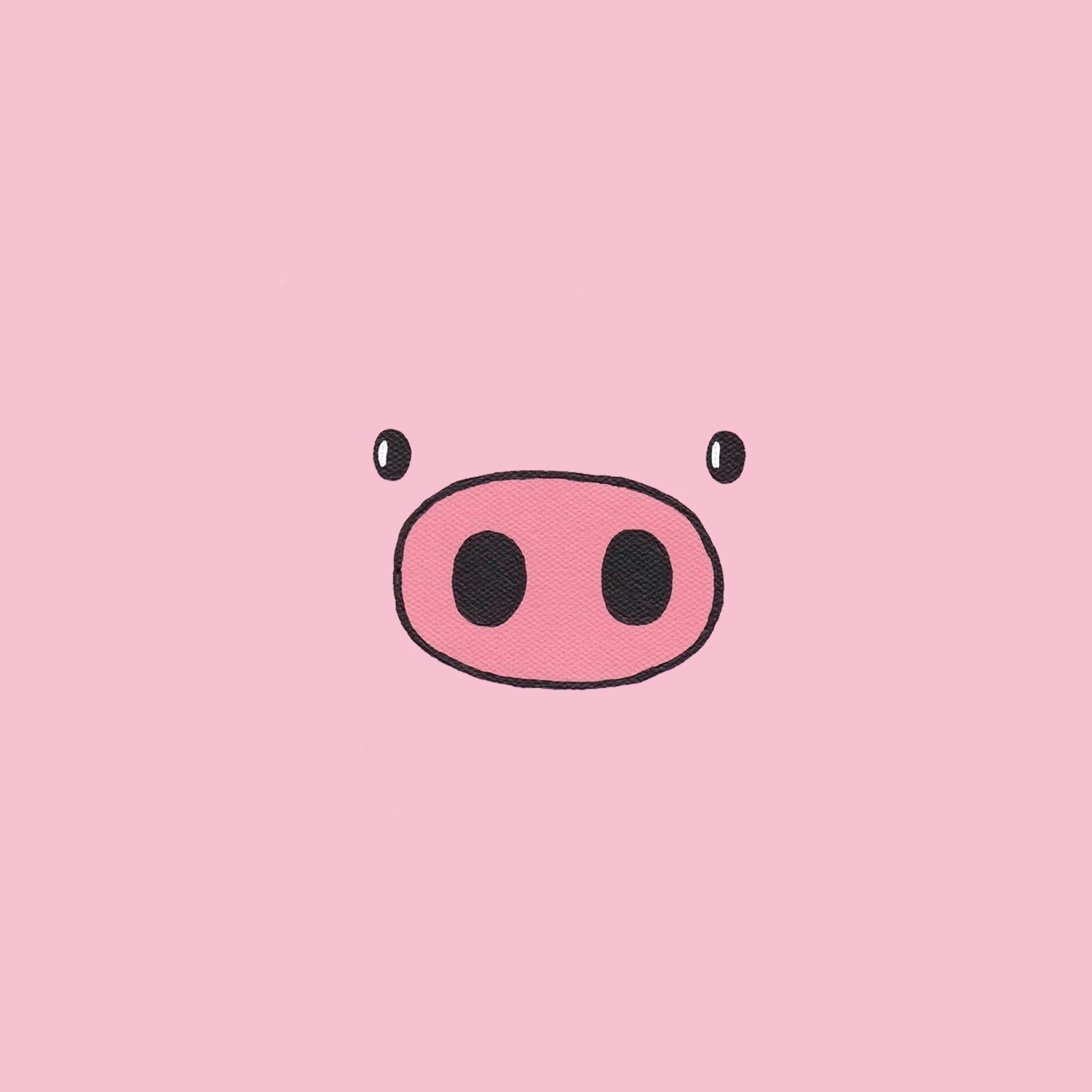 Download Cute Pig Smiling Wallpaper  Wallpaperscom