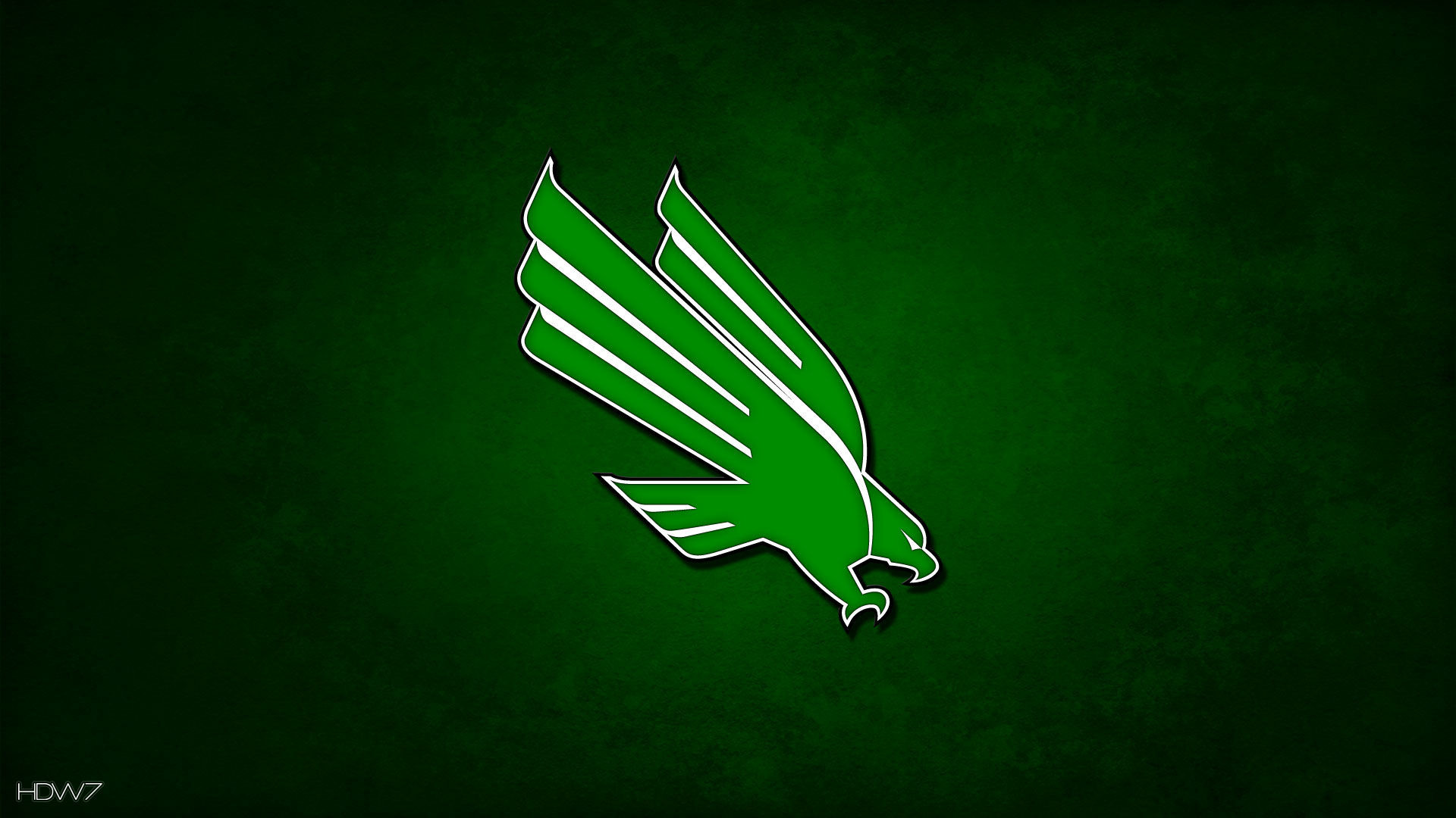 1920x1080 north texas mean green  eagle