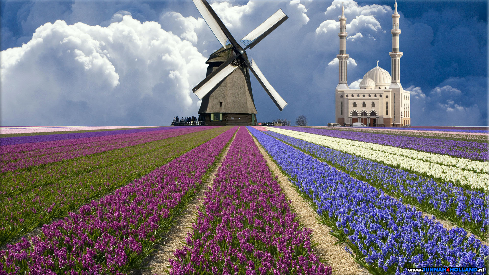 1920x1080 Dutch Windmill Wallpaper - WallpaperSafari