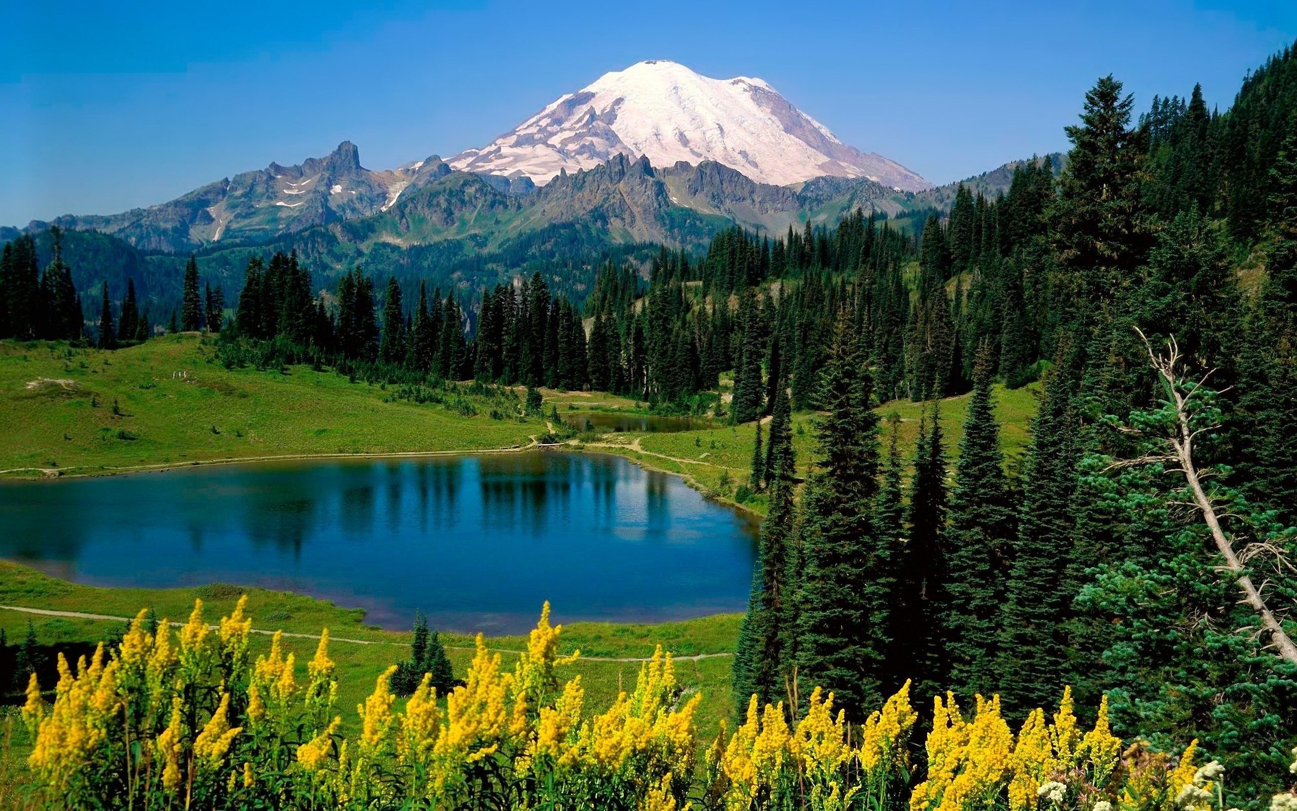 2560x1600  Mount Rainier Washington State