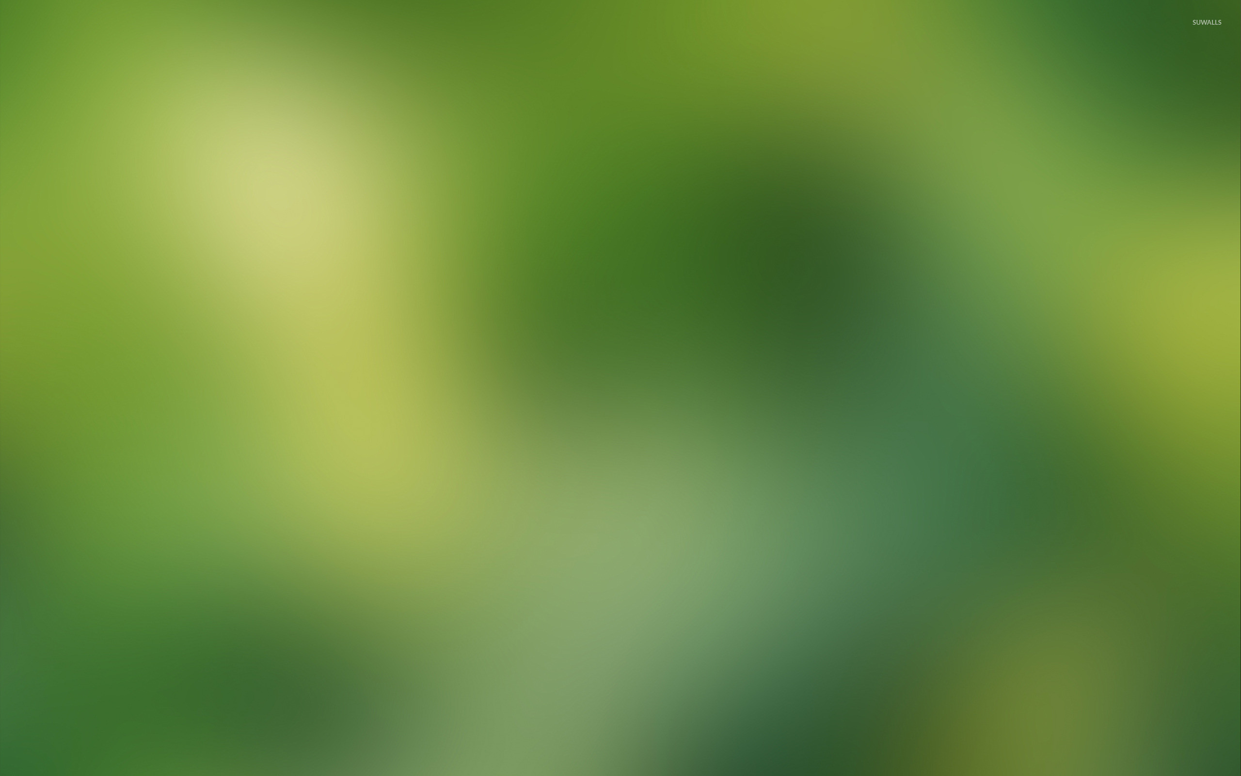 2560x1600 Bright green blur wallpaper  jpg
