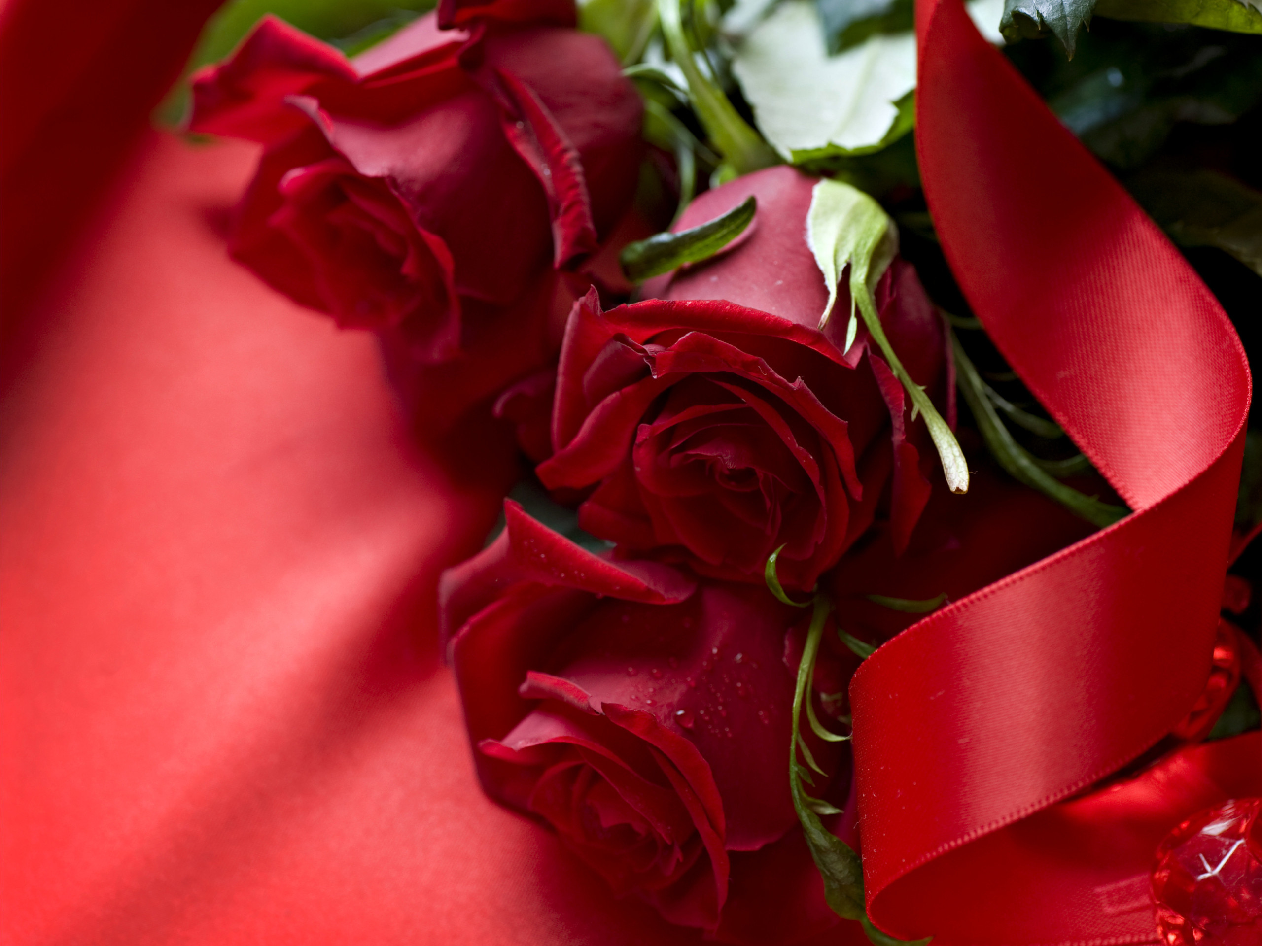 2560x1920  Beautiful 3D Red Rose Wallpaper. 0 Â· Download Â· Res: 1920x1201,