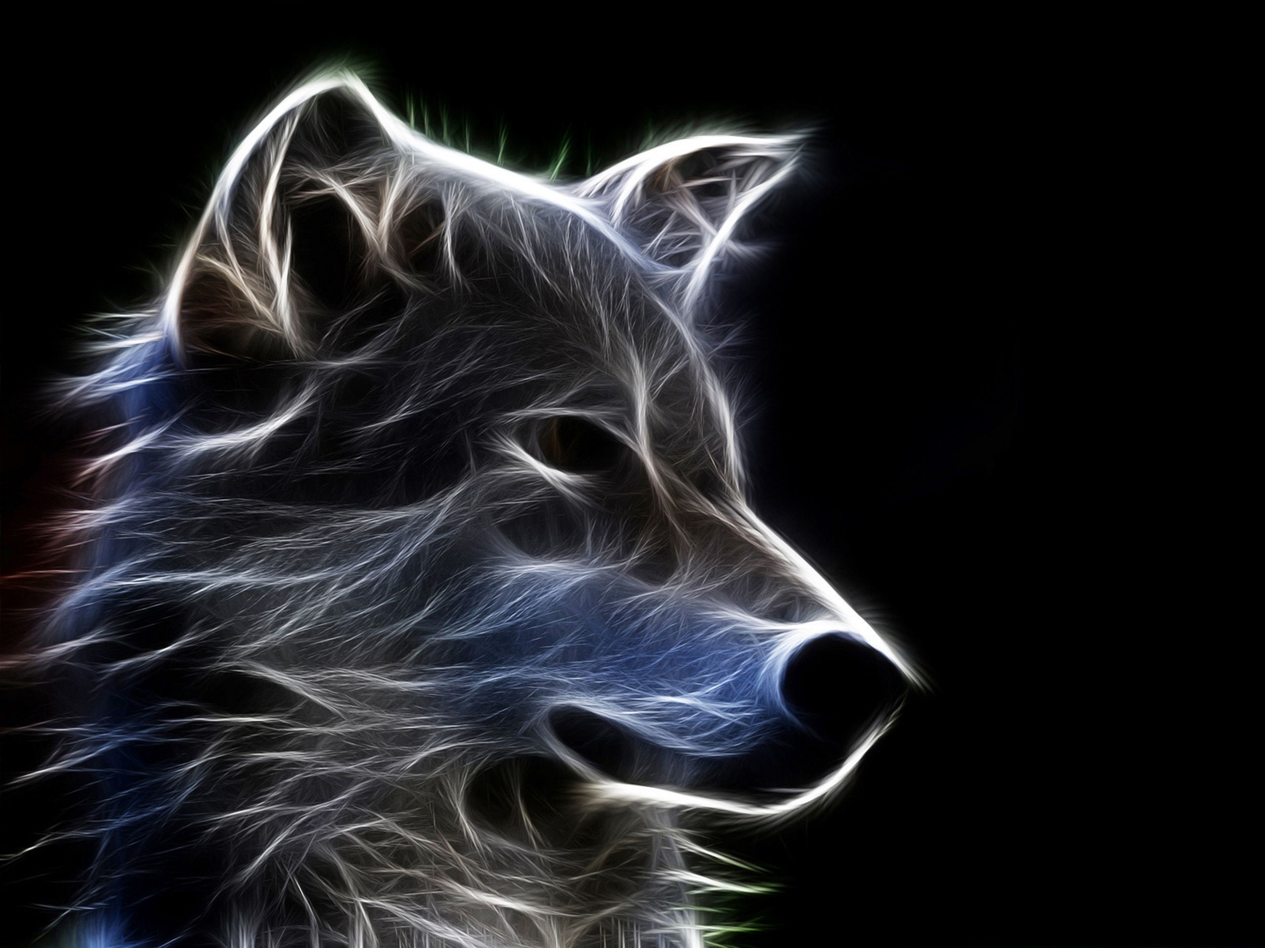 2560x1920 Animal - Wolf Wallpaper