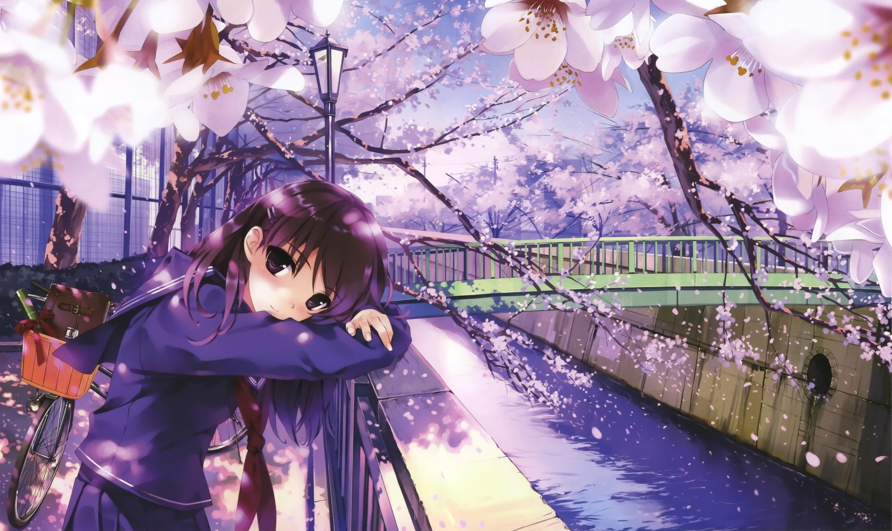 3500x2085 Anime Girls Bike Bridges Cherry Blossom