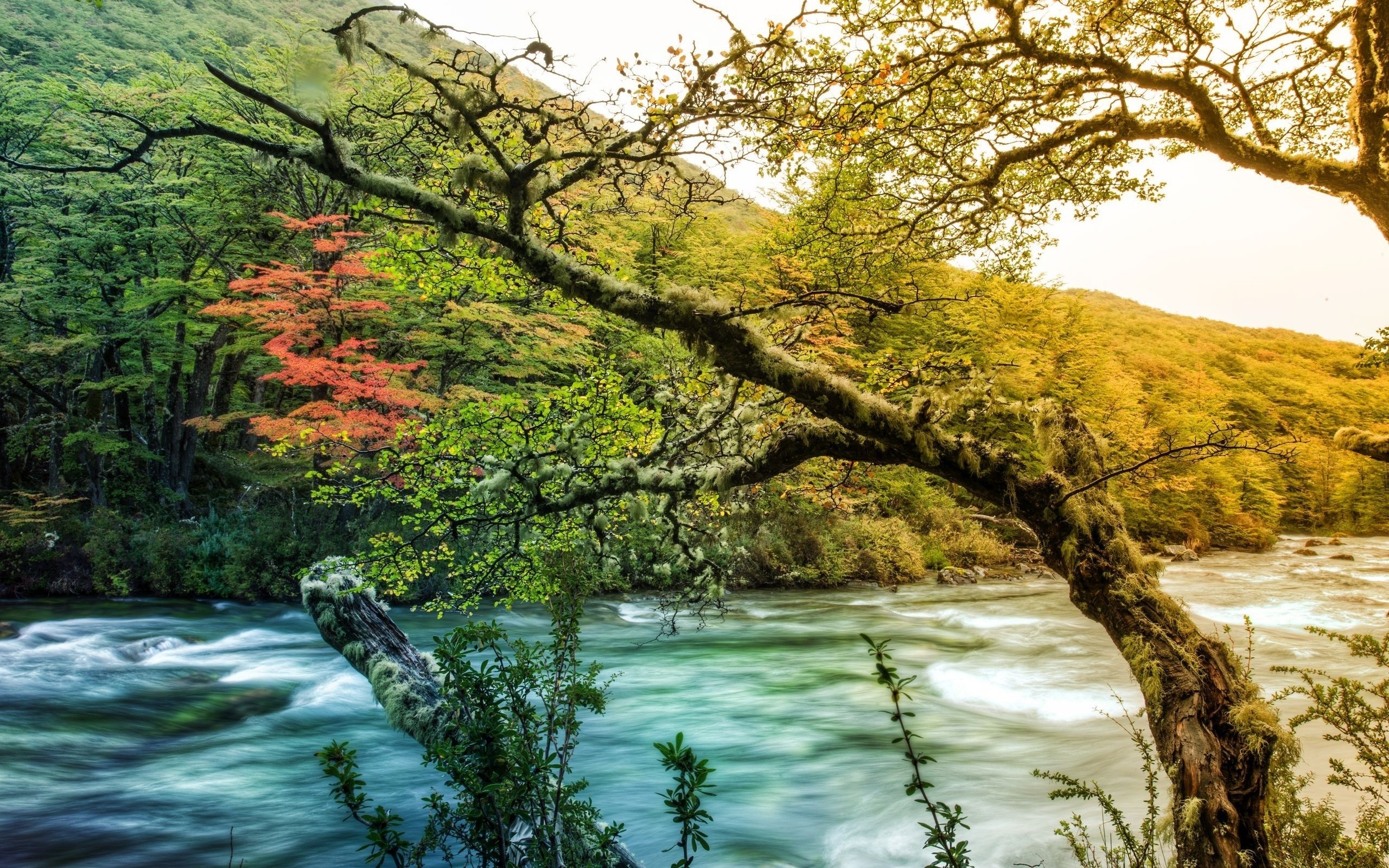 2560x1600 Beautiful mountain river HD Desktop Wallpaper