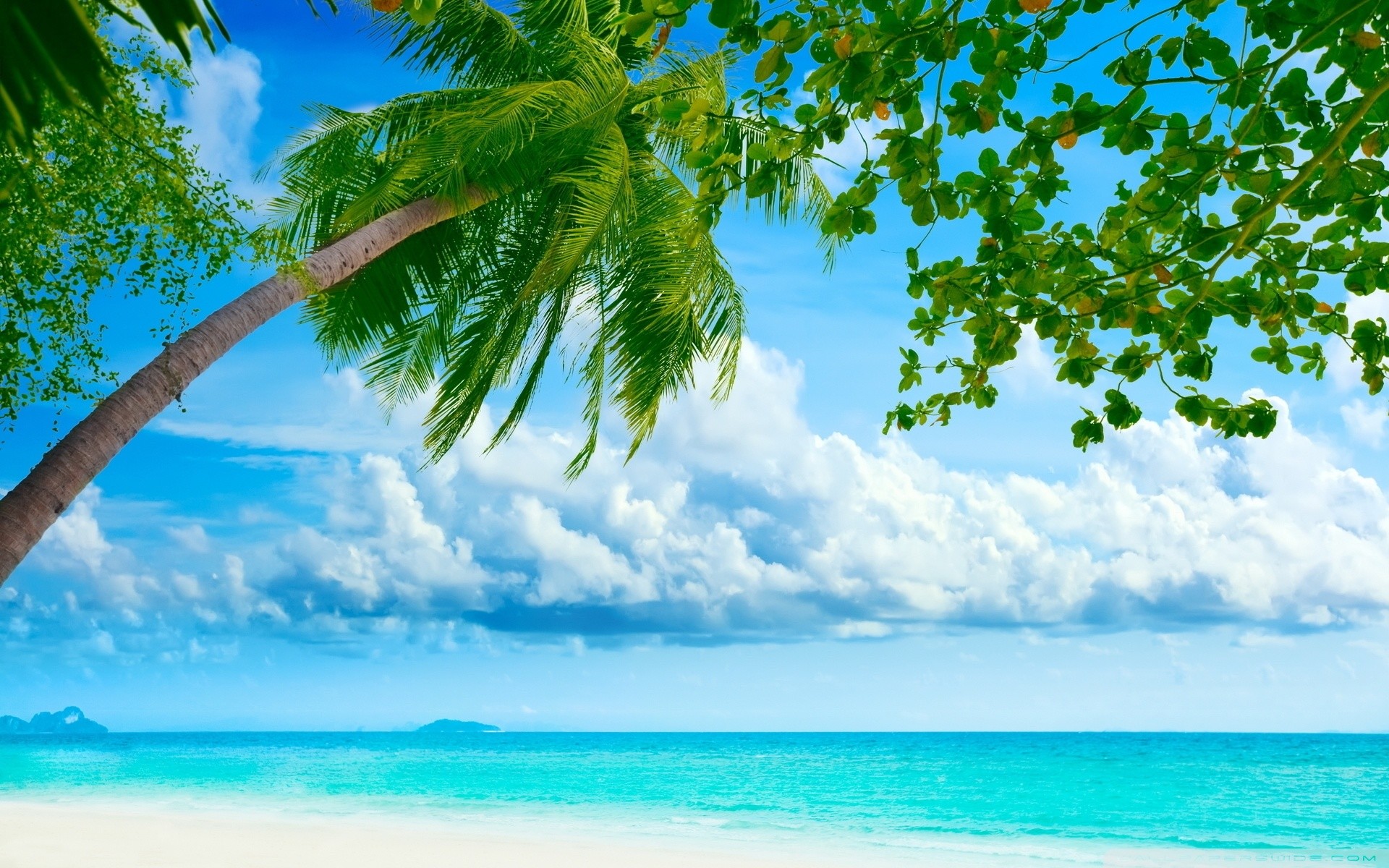 1920x1200 Tropical Beach Resorts HD Wide Wallpaper for 4K UHD Widescreen desktop &  smartphone