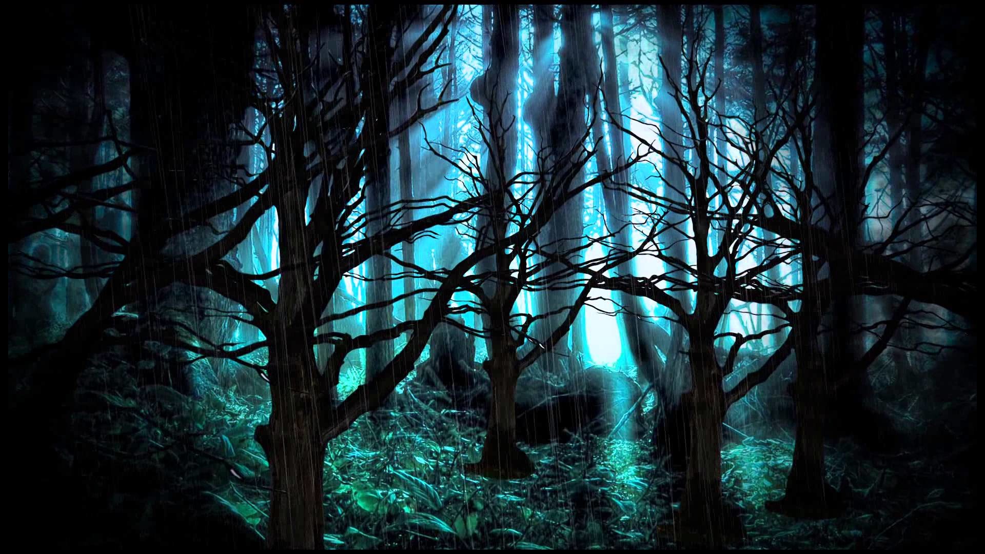 1920x1080 Background Dark Forest