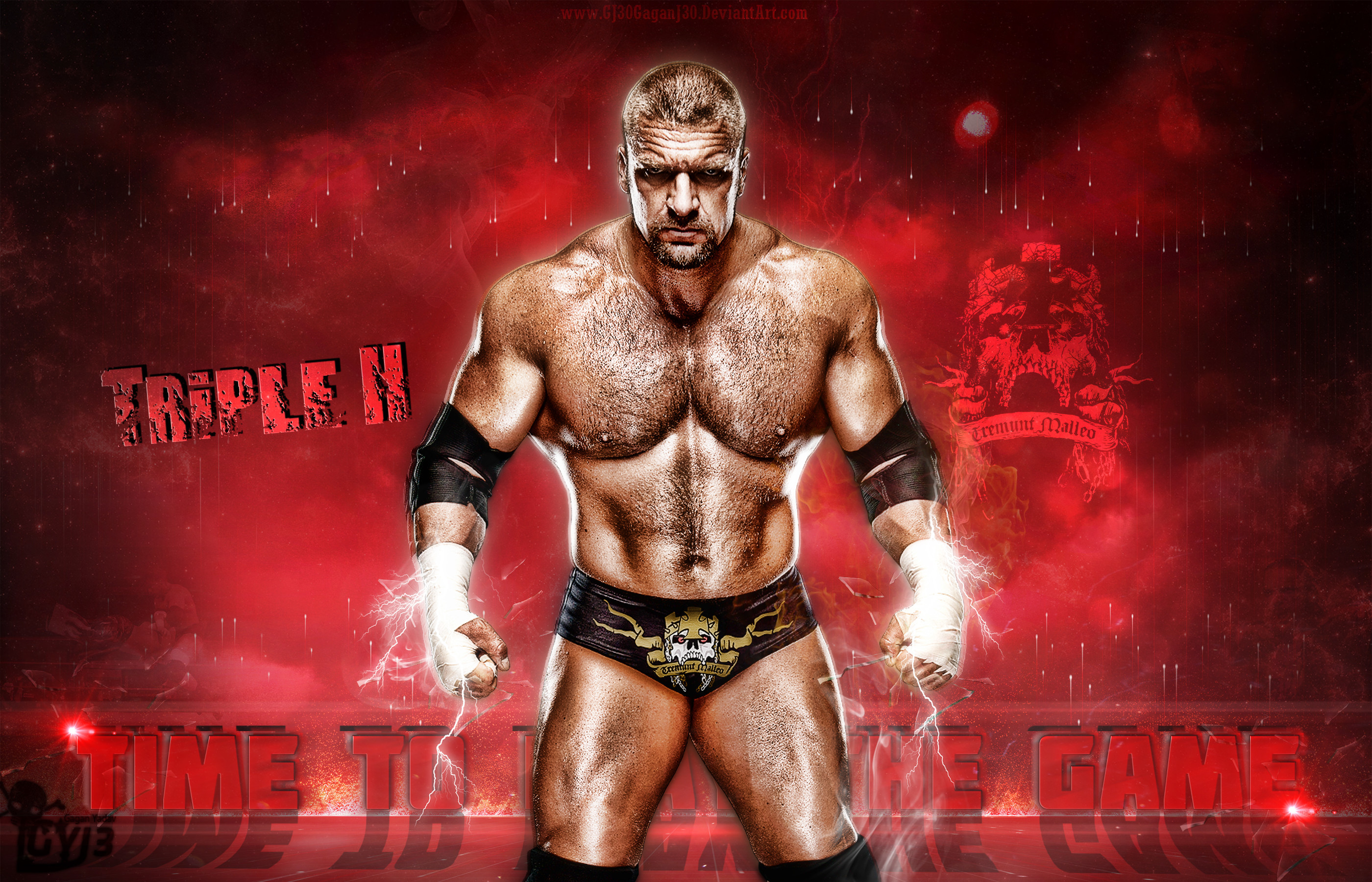 2800x1800  WWE Wallpapers. Download the following Triple H ..