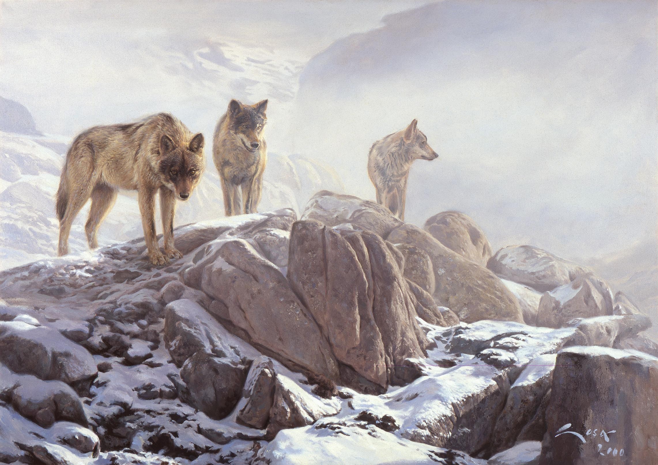 2283x1614 tribe of hunting wolfs images Wolves HD wallpaper and background photos