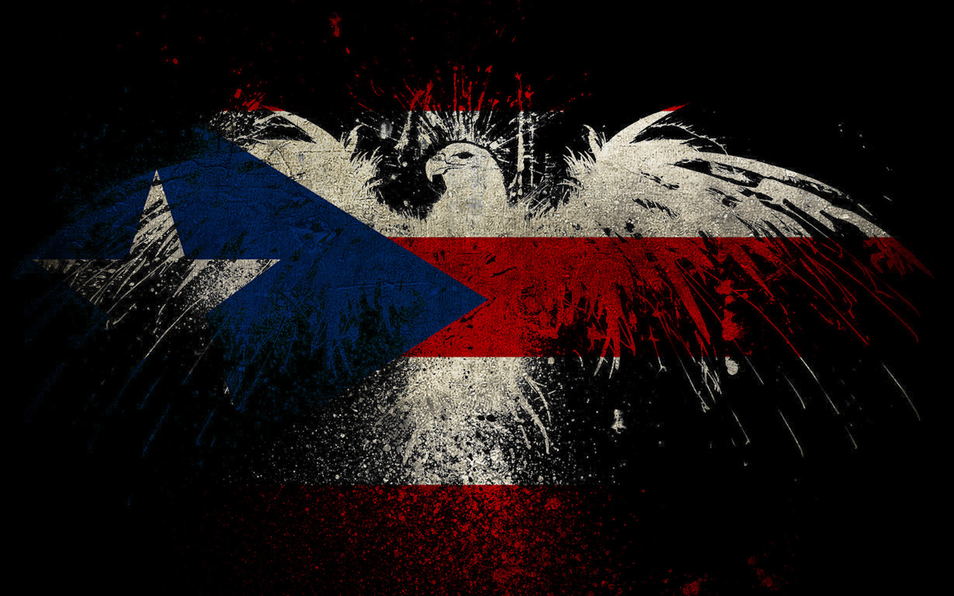 1920x1200 ... shaped Puerto Rico flag HD Wallpaper 