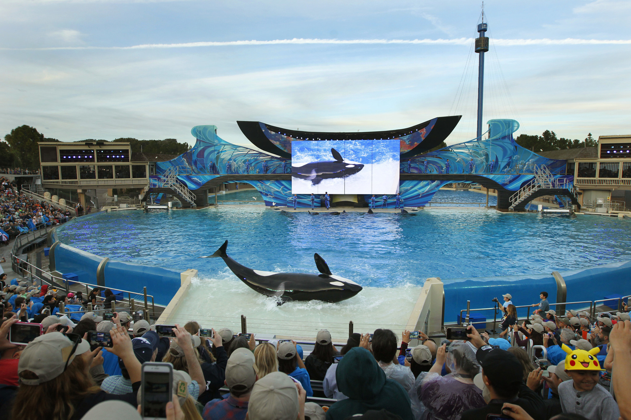2048x1365 SeaWorld's Shamu show delivers last splash - The San Diego Union-Tribune