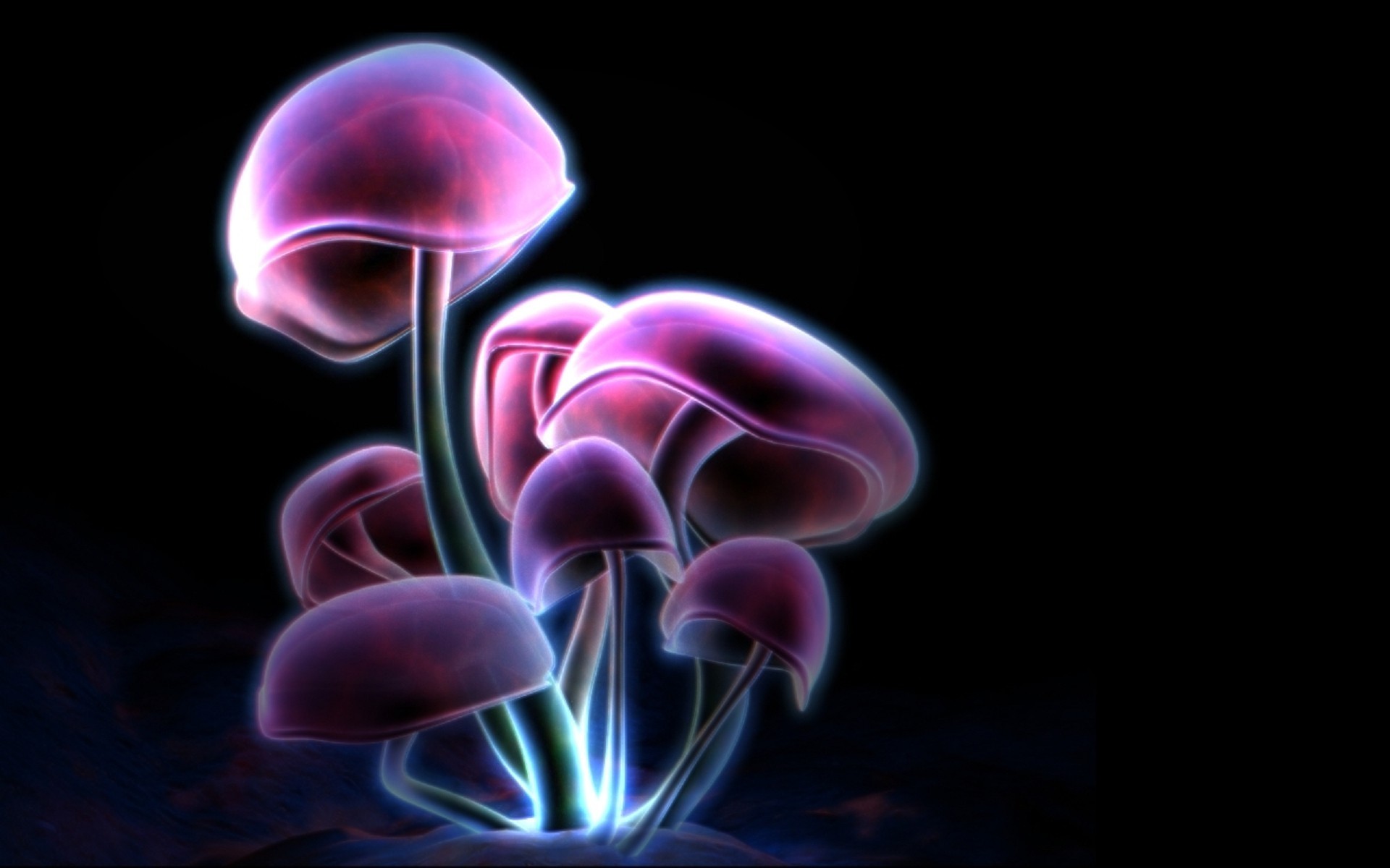 1920x1200 Neon mushrooms wallpaper