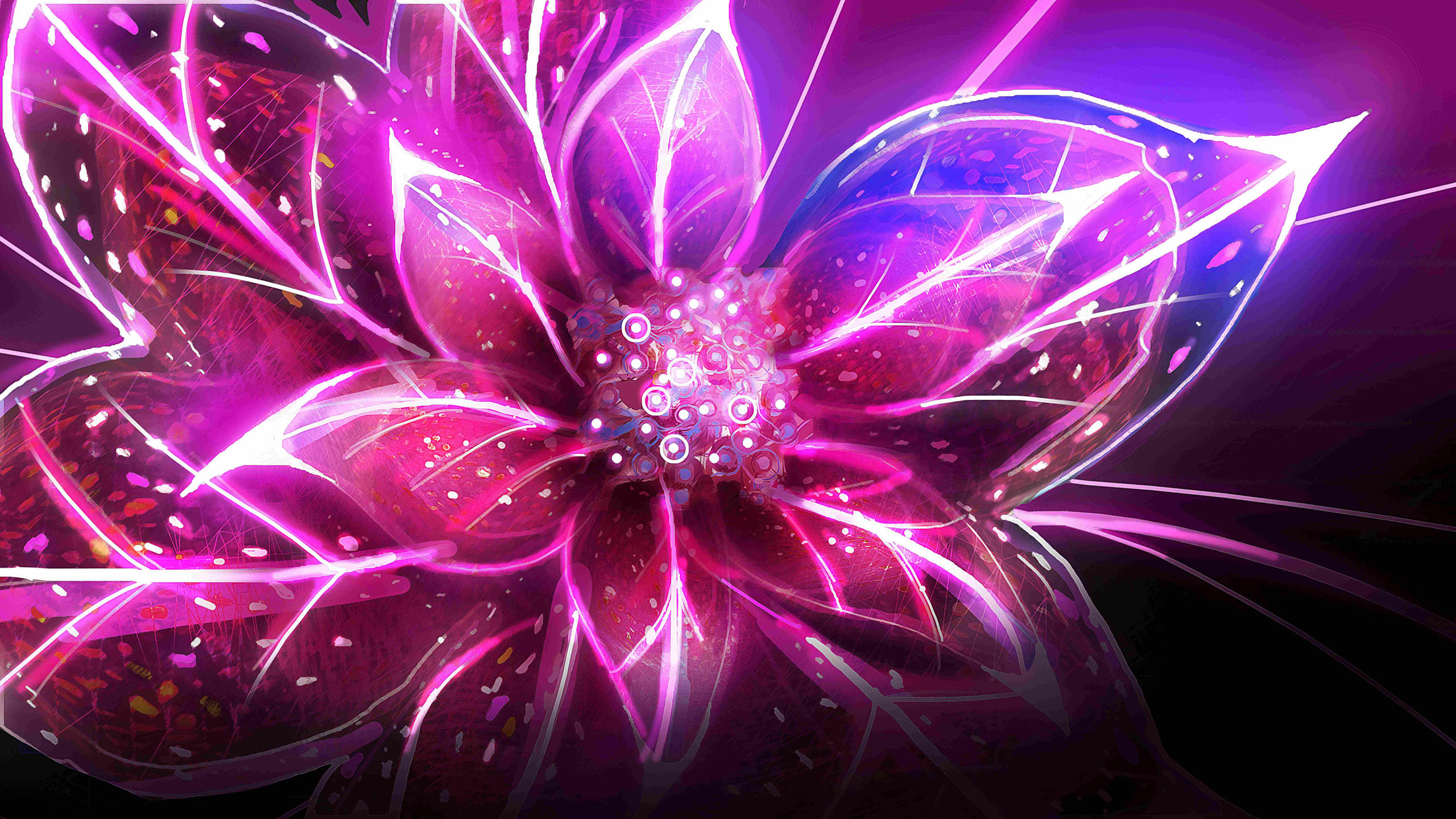 2560x1440 Abstract Flowers wallpaper