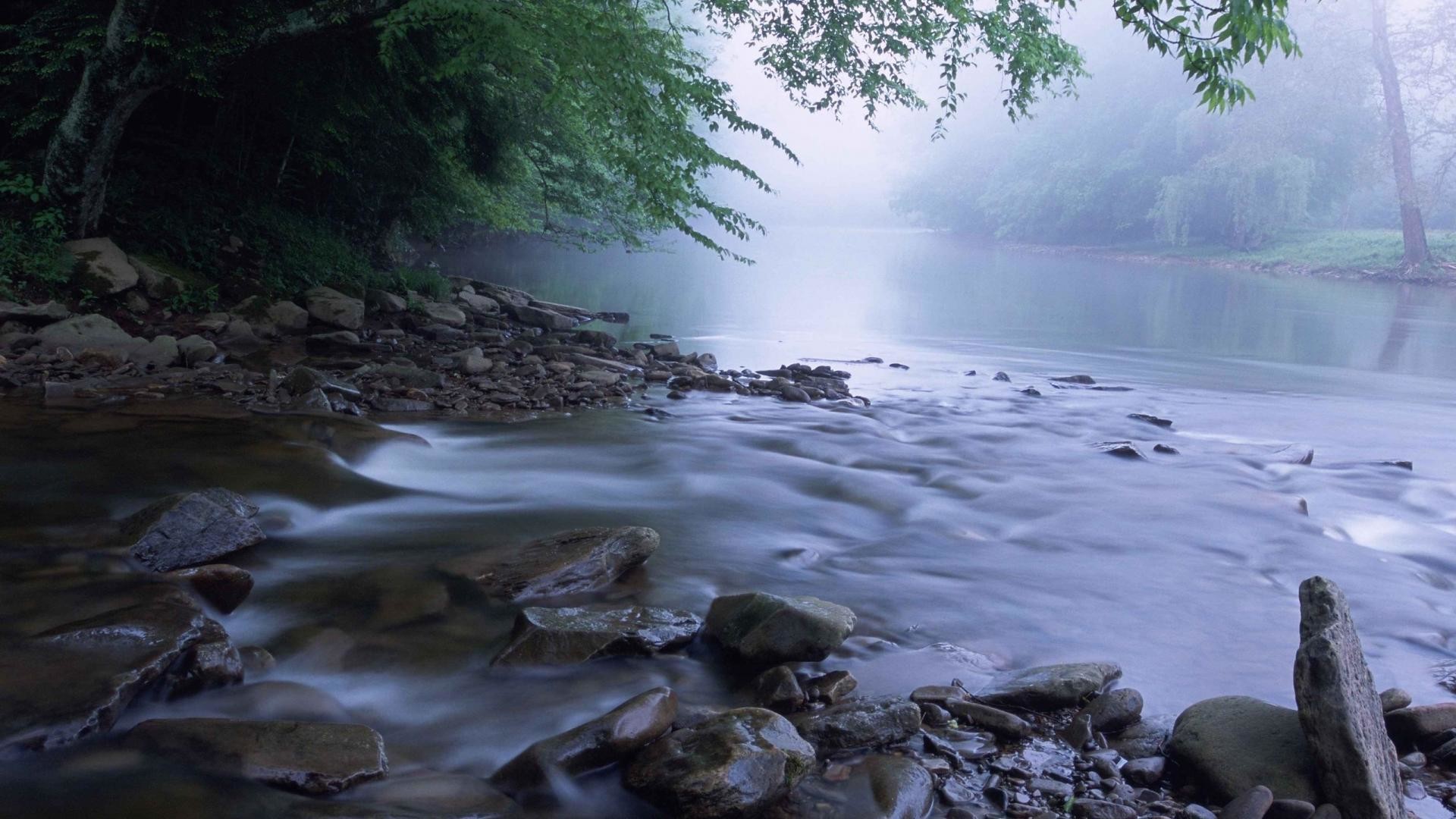 1920x1080 HD Cheat River In West Virginia Wallpaper | Download Free - 59861