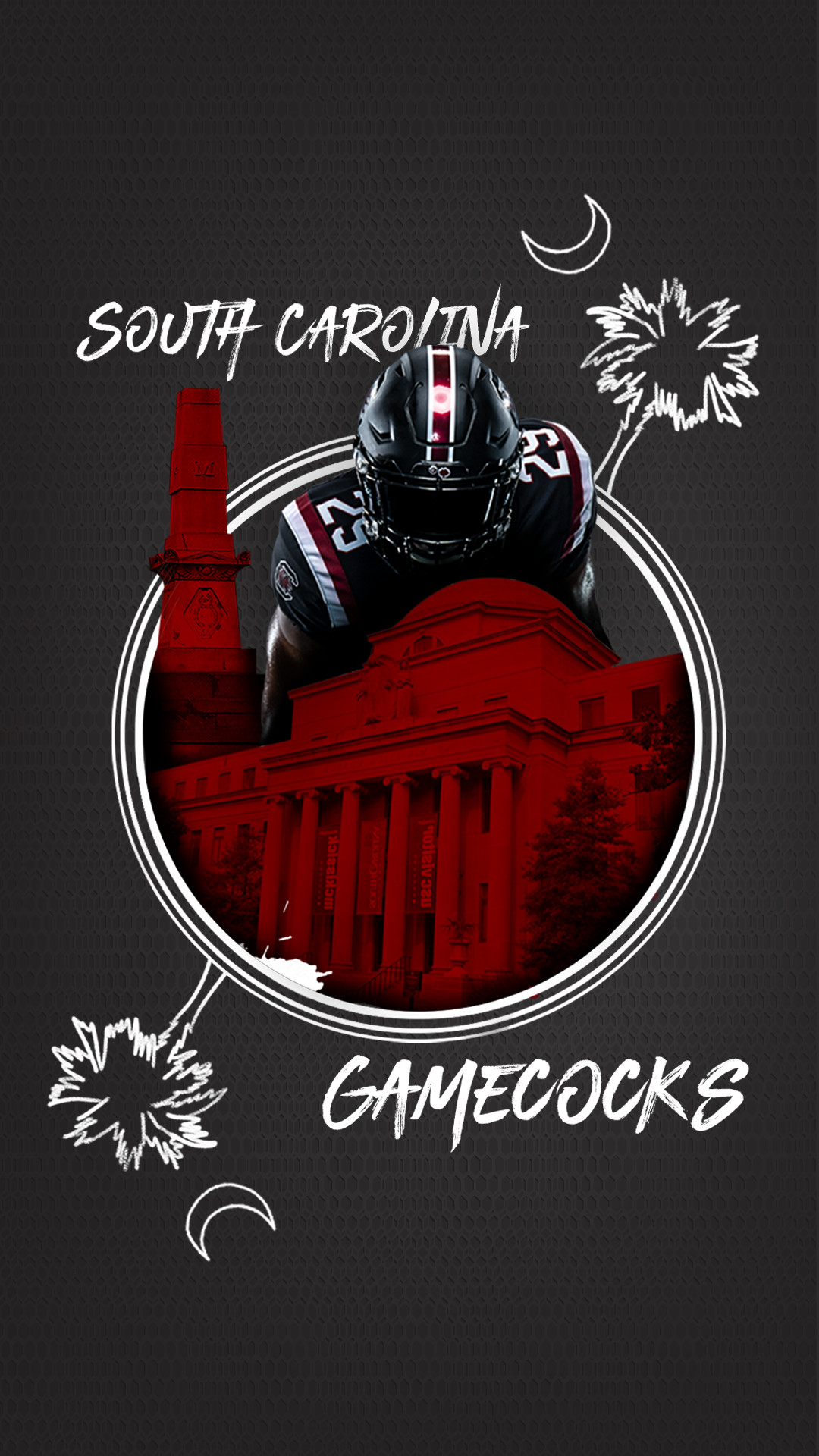 1080x1920 Wallpaper displaying two iconic University features, the palmetto tree, and  gamecock football