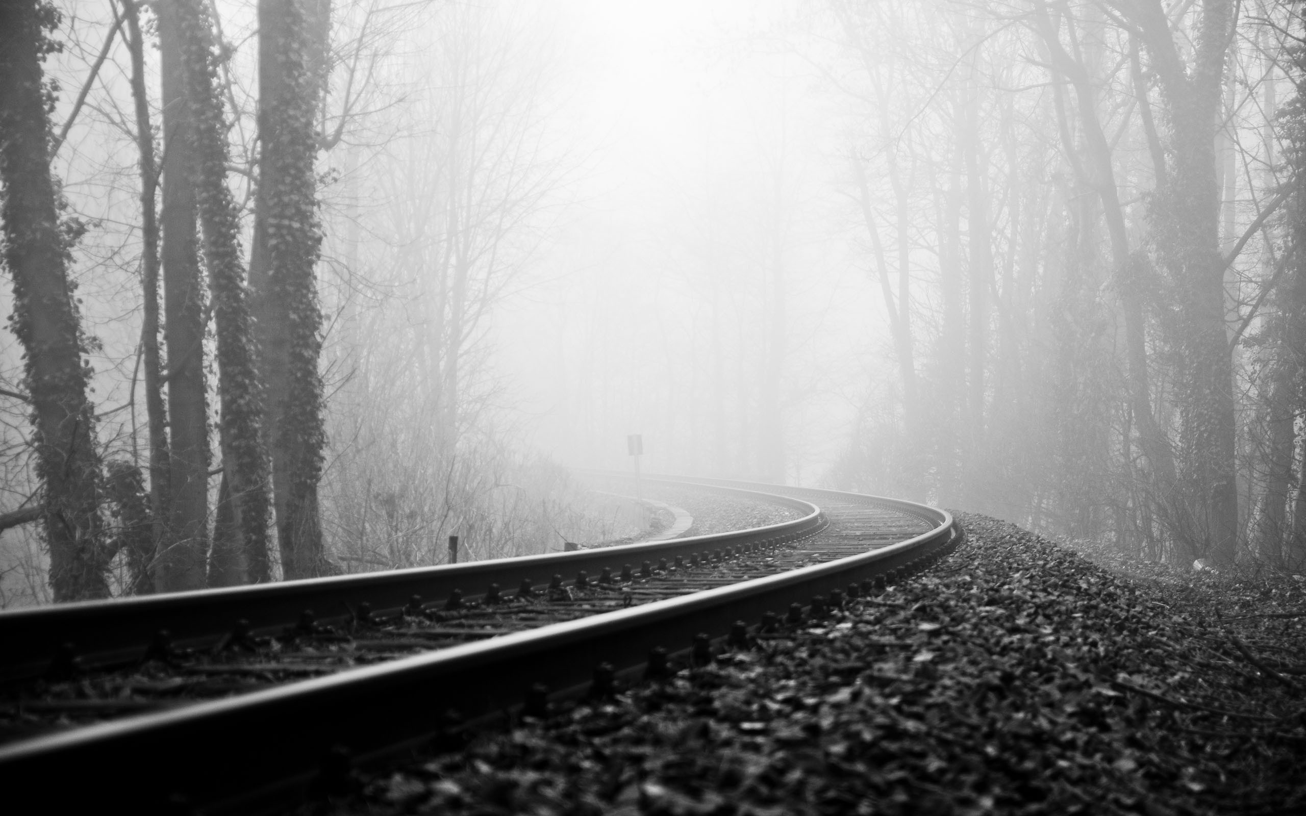 2560x1600 Photography - Black & White Railroad Fog Wallpaper