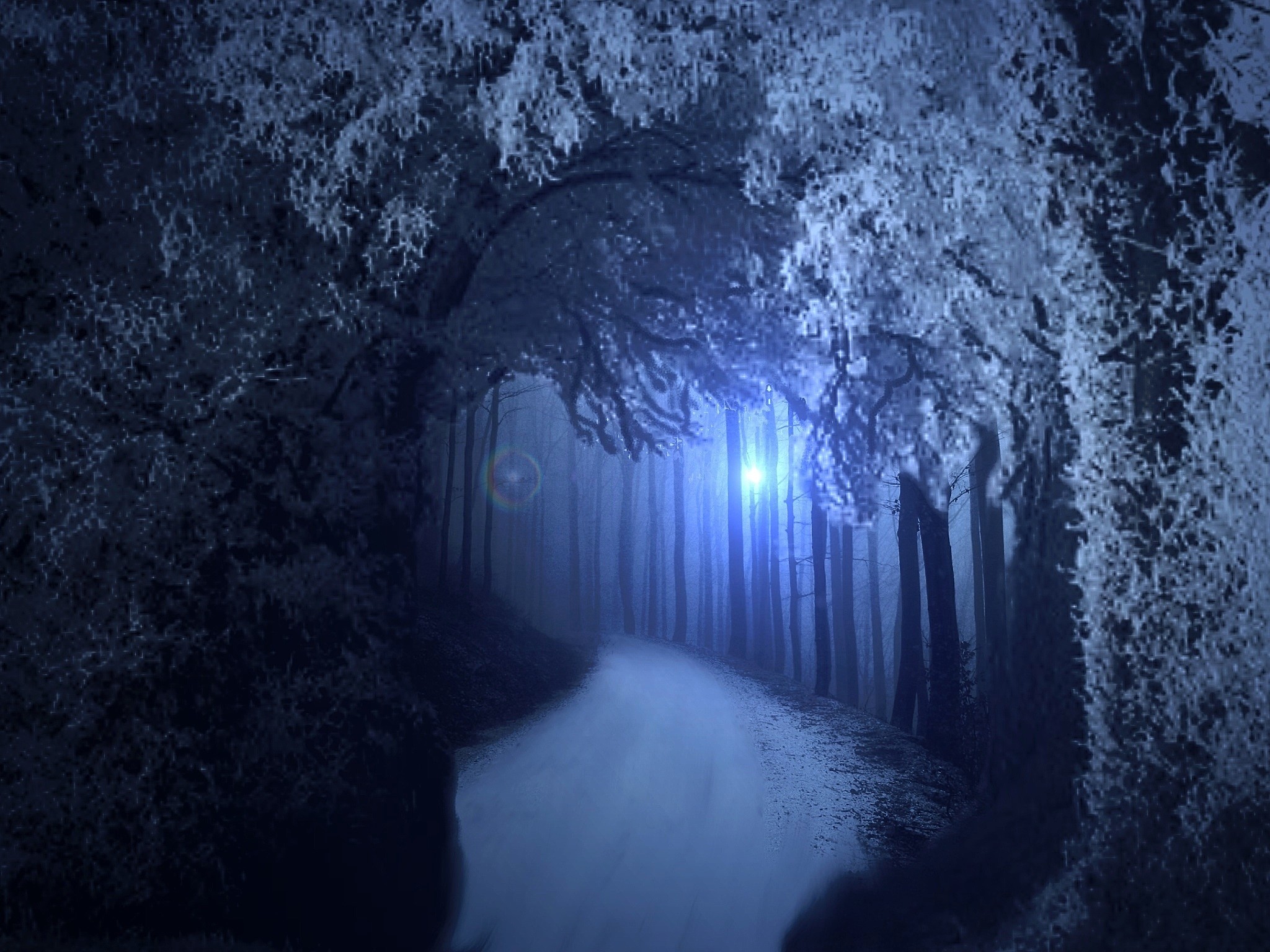 2048x1536 Premade Background Spooky Forrest #11250