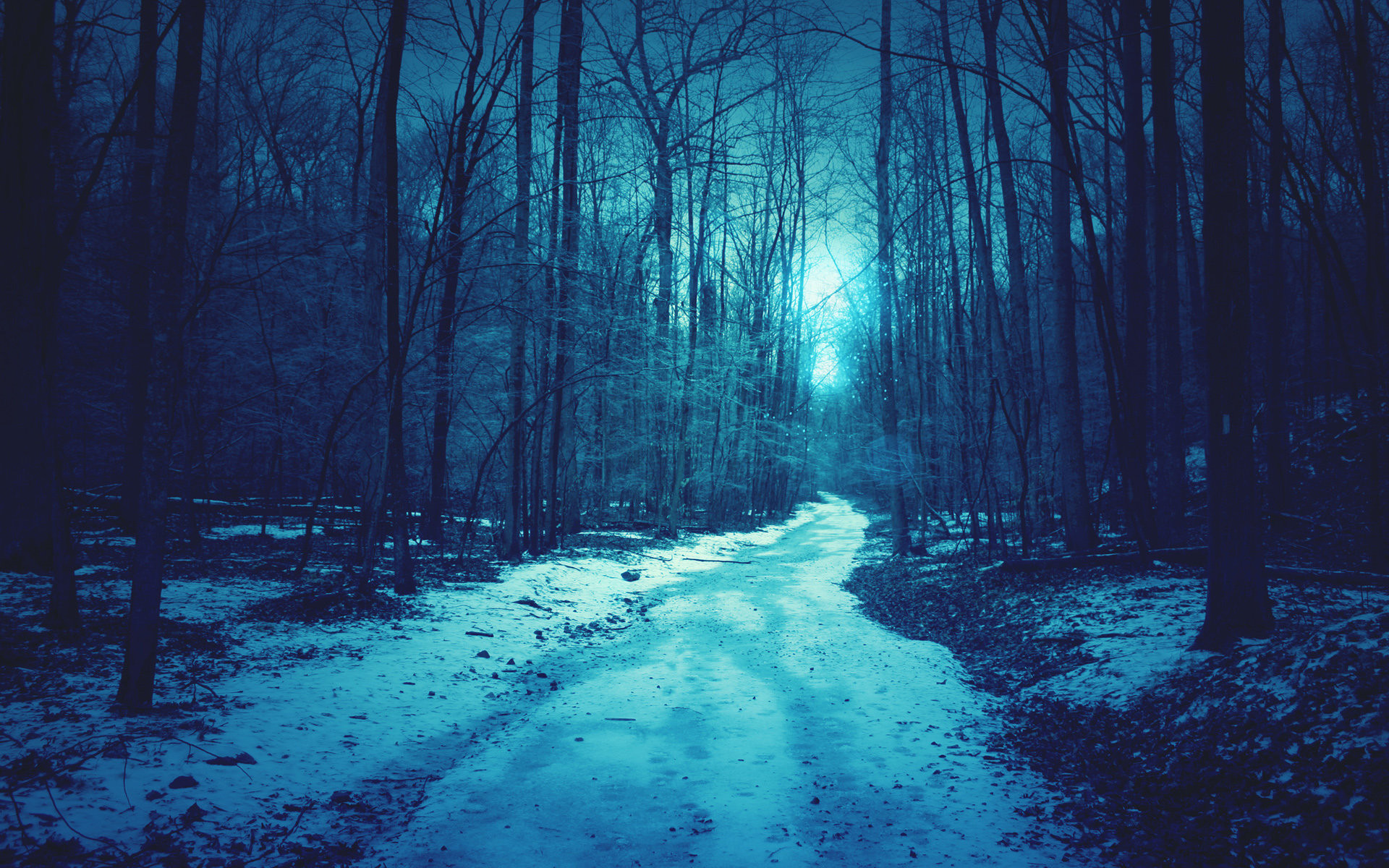 1920x1200 Download: Forest Path HD Wallpaper