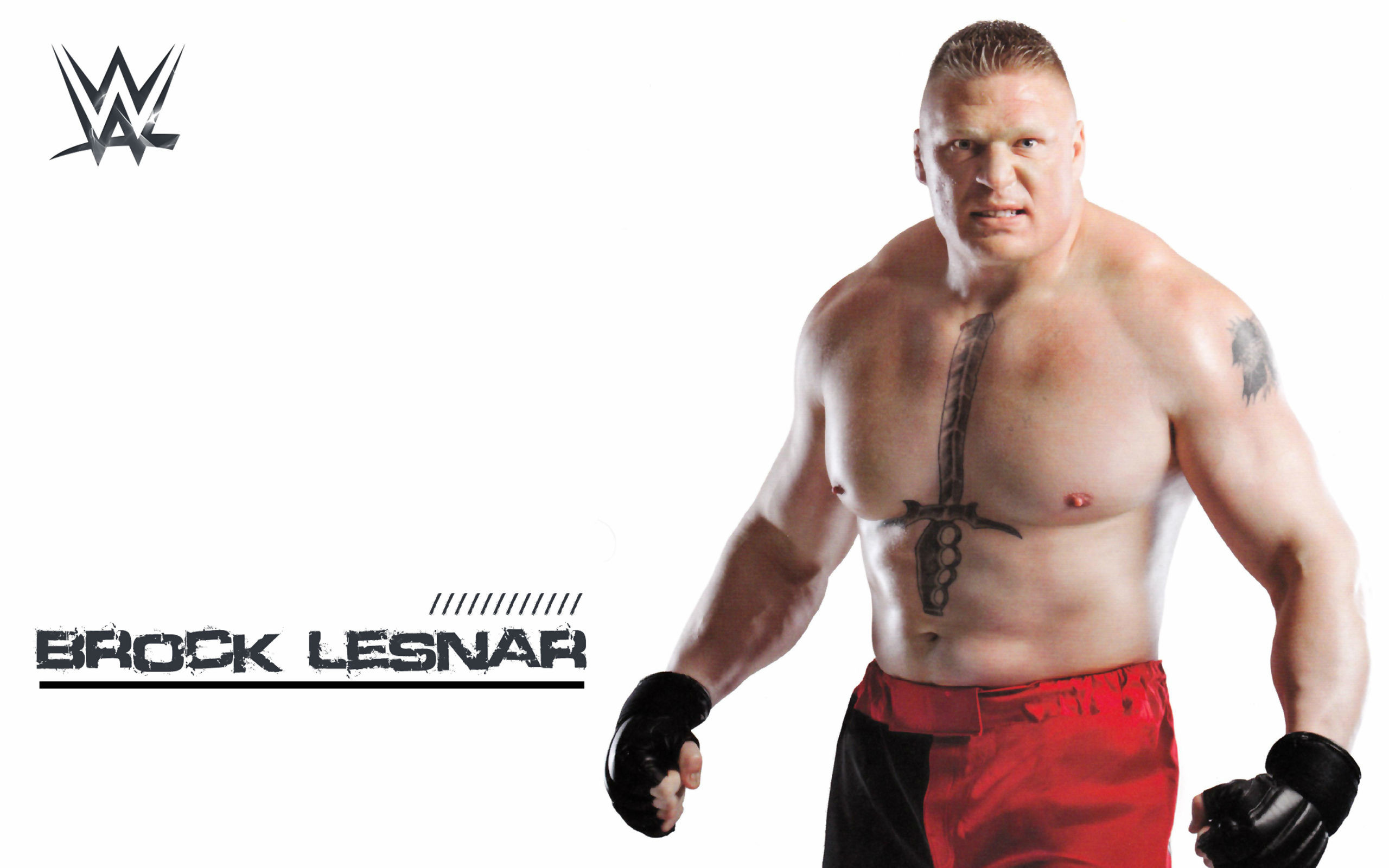 2560x1600 WWE Brock Lesnar HD Wallpapers