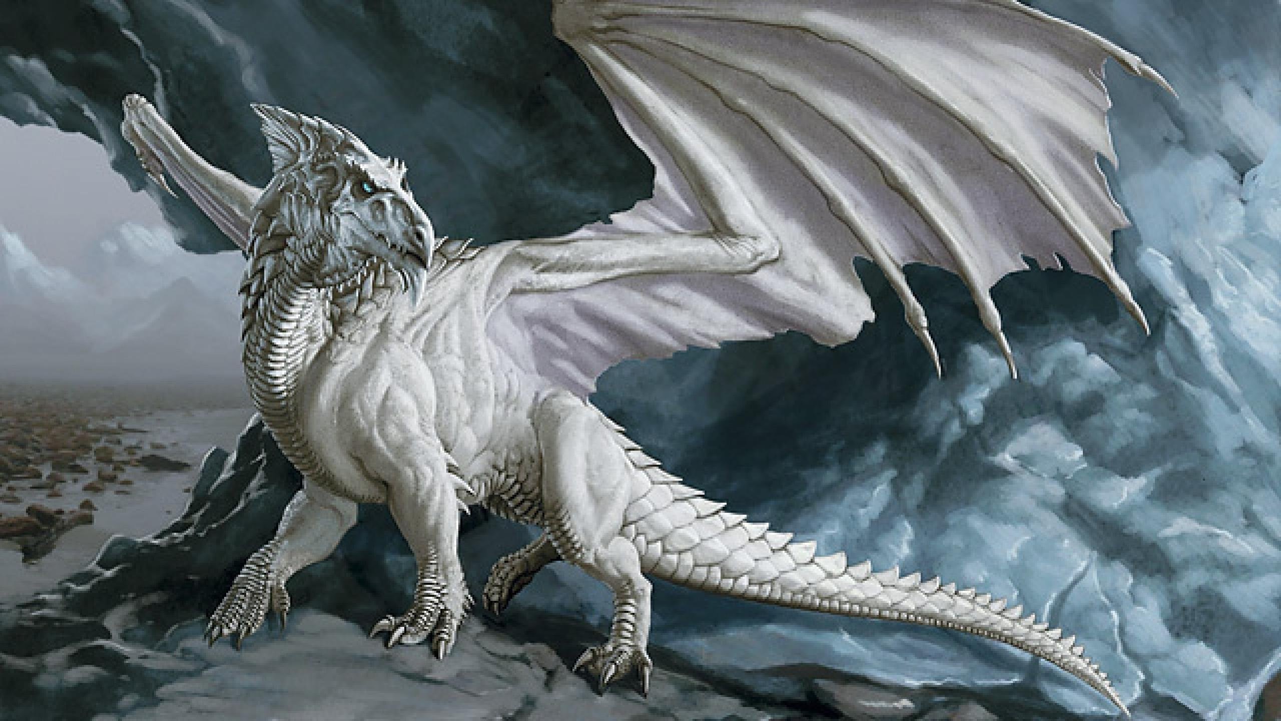 2560x1440 Dragon Blanco Arte Fantasia Wallpaper At Fantasy Wallpapers