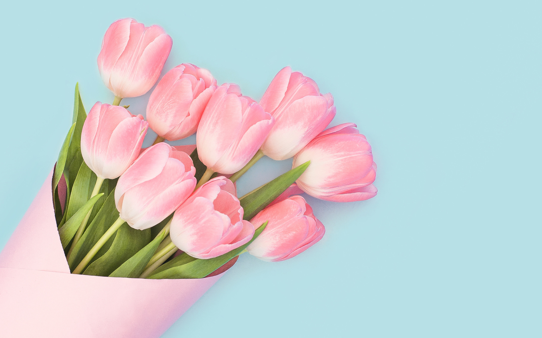 2160x1350 Baby Pink Tulips