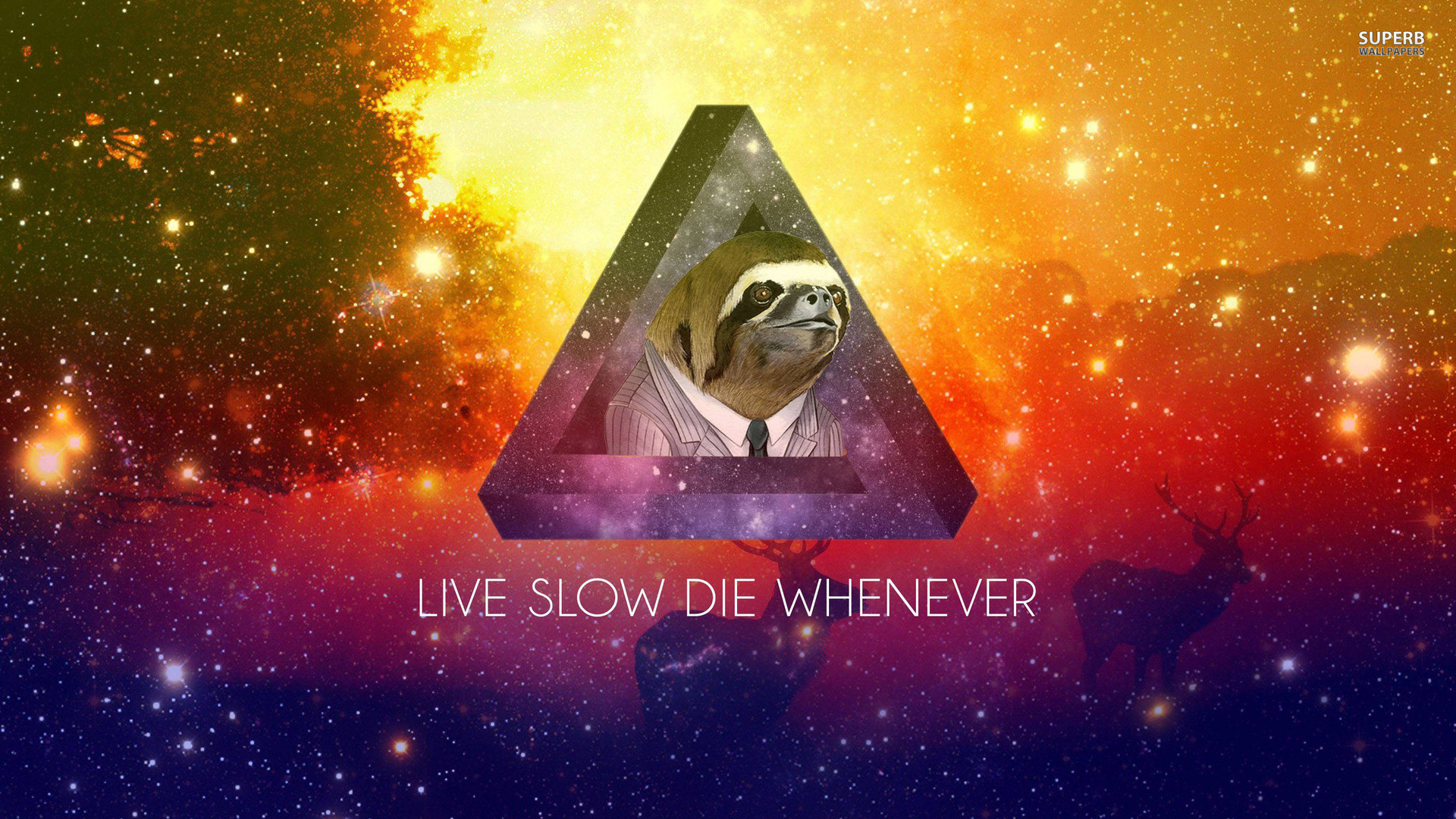1920x1080 My laptop background I might post this everytime in the context of sloths