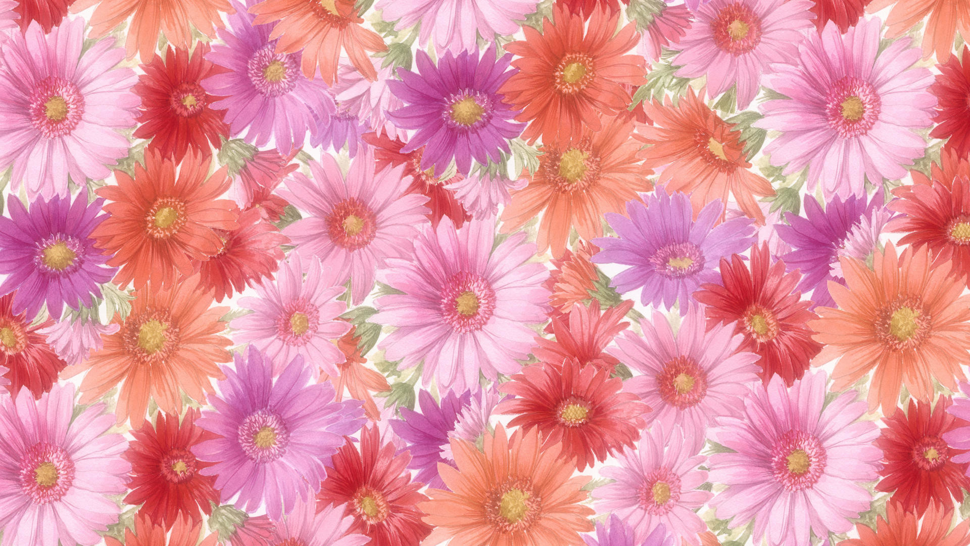 1920x1080 Flower Wallpaper